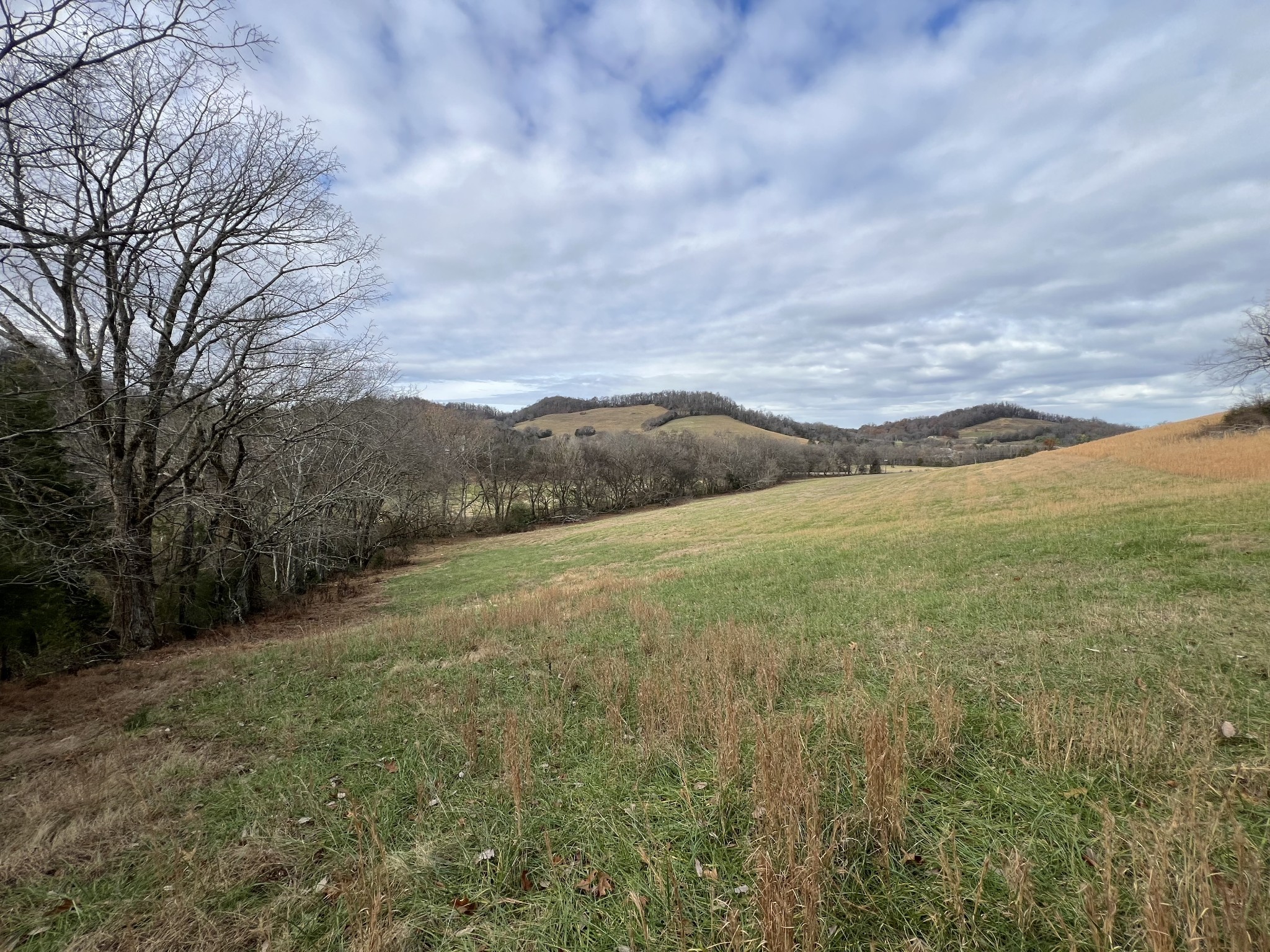0 Highway 231, S