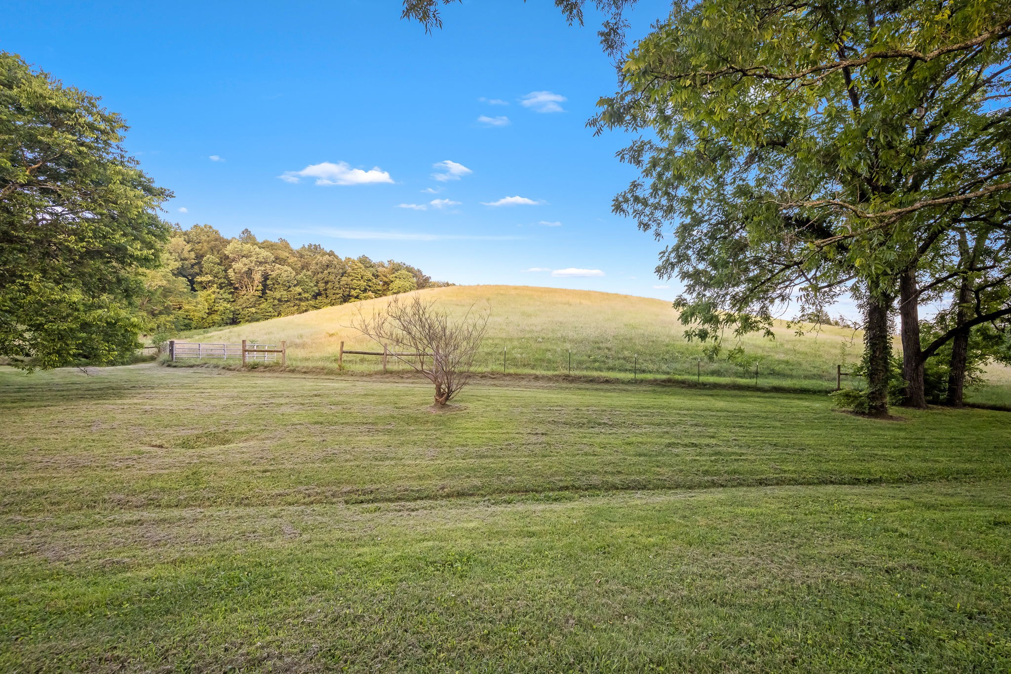 704 Williamson Hollow Rd