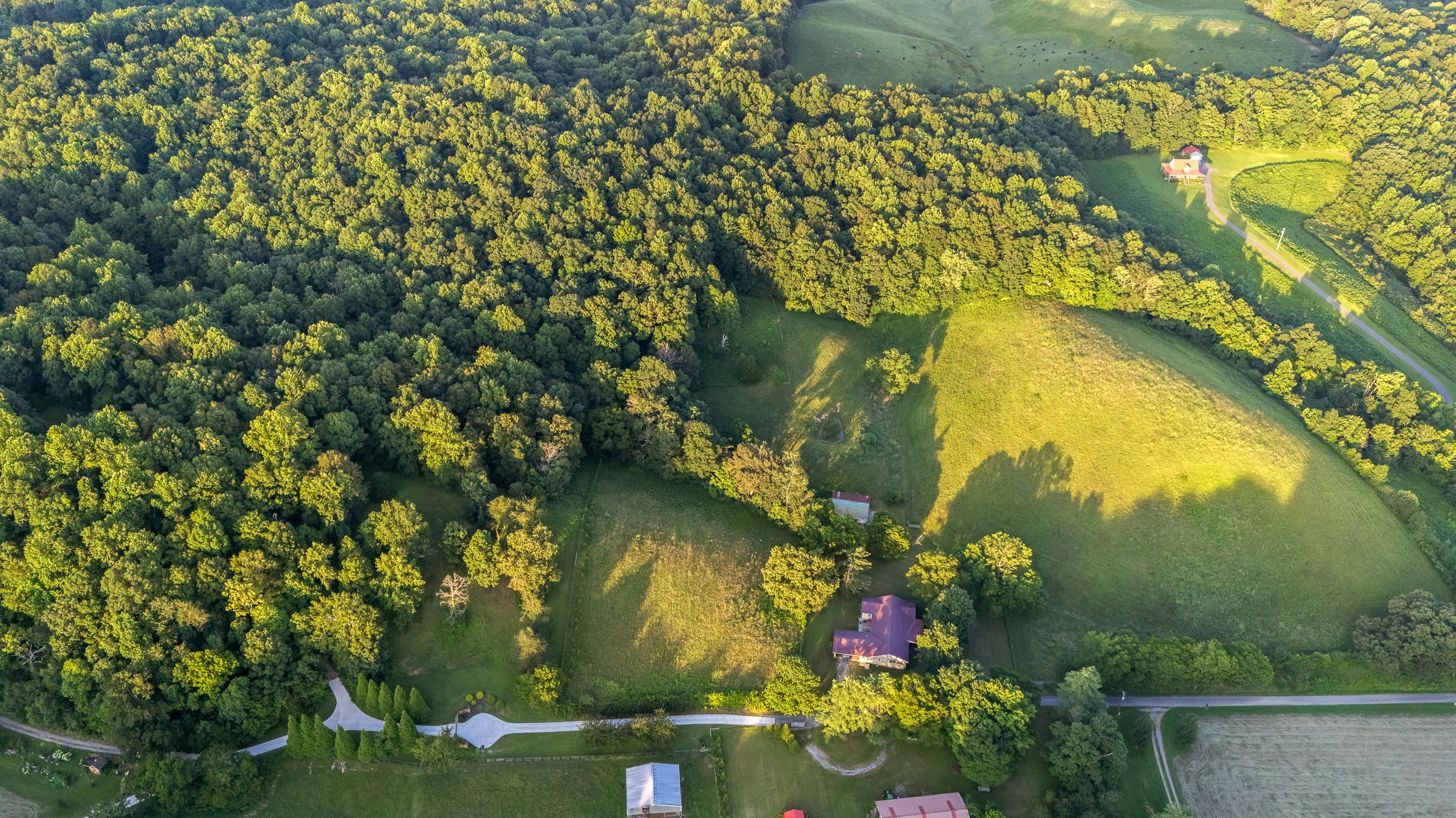 704 Williamson Hollow Rd