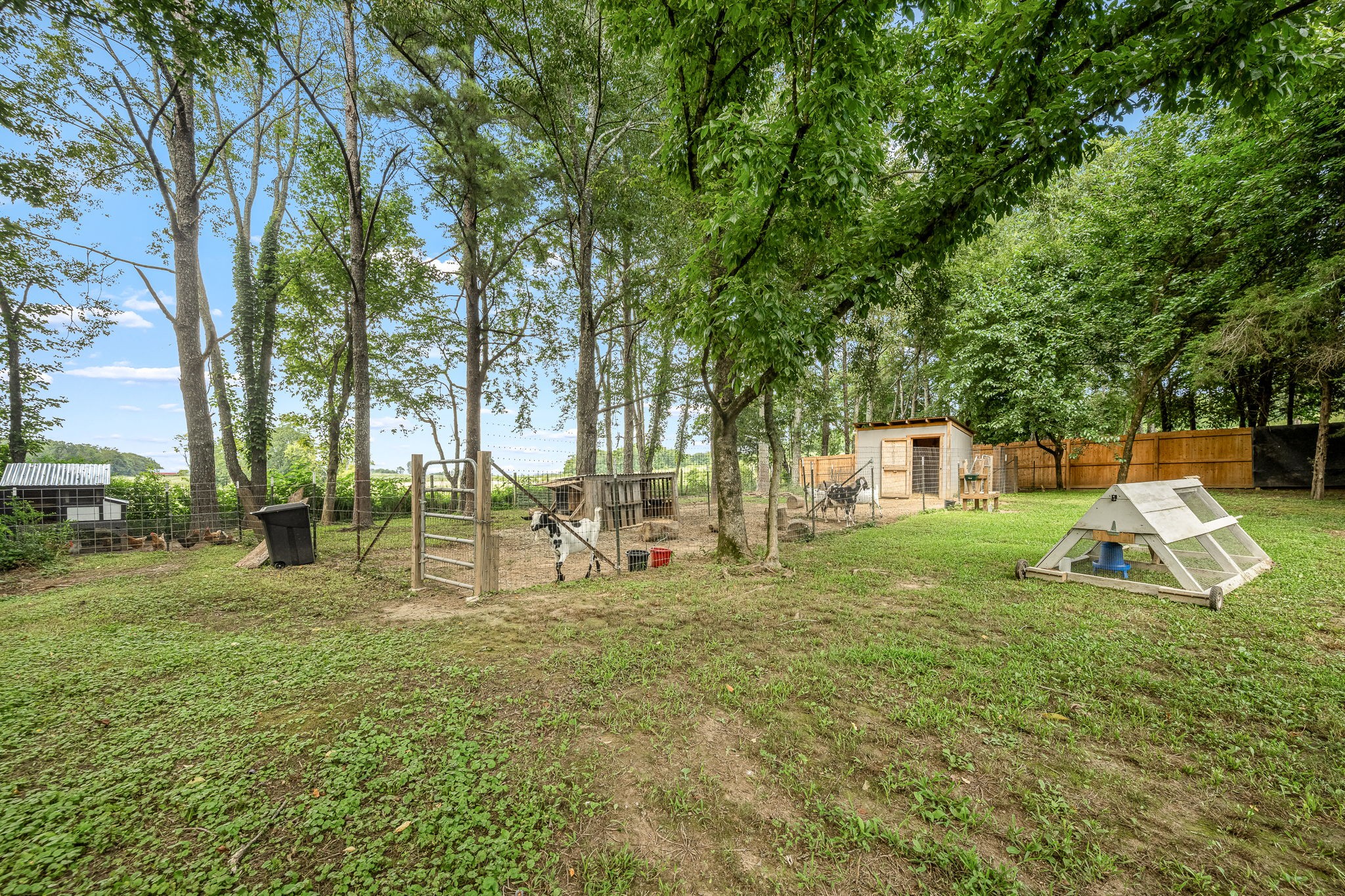 136 Beechwood Ave