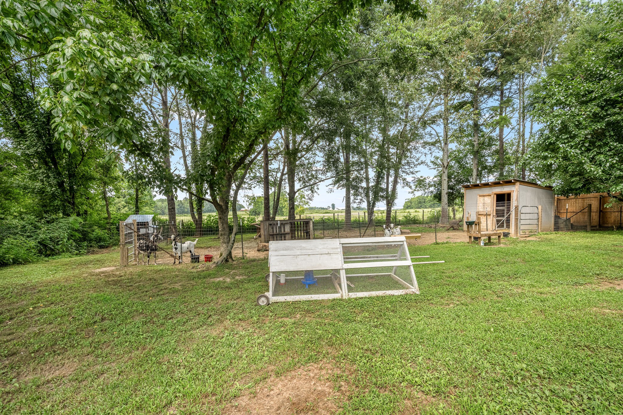 136 Beechwood Ave