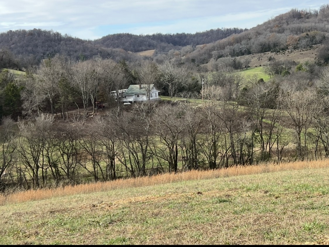 3441 Highway 231, S