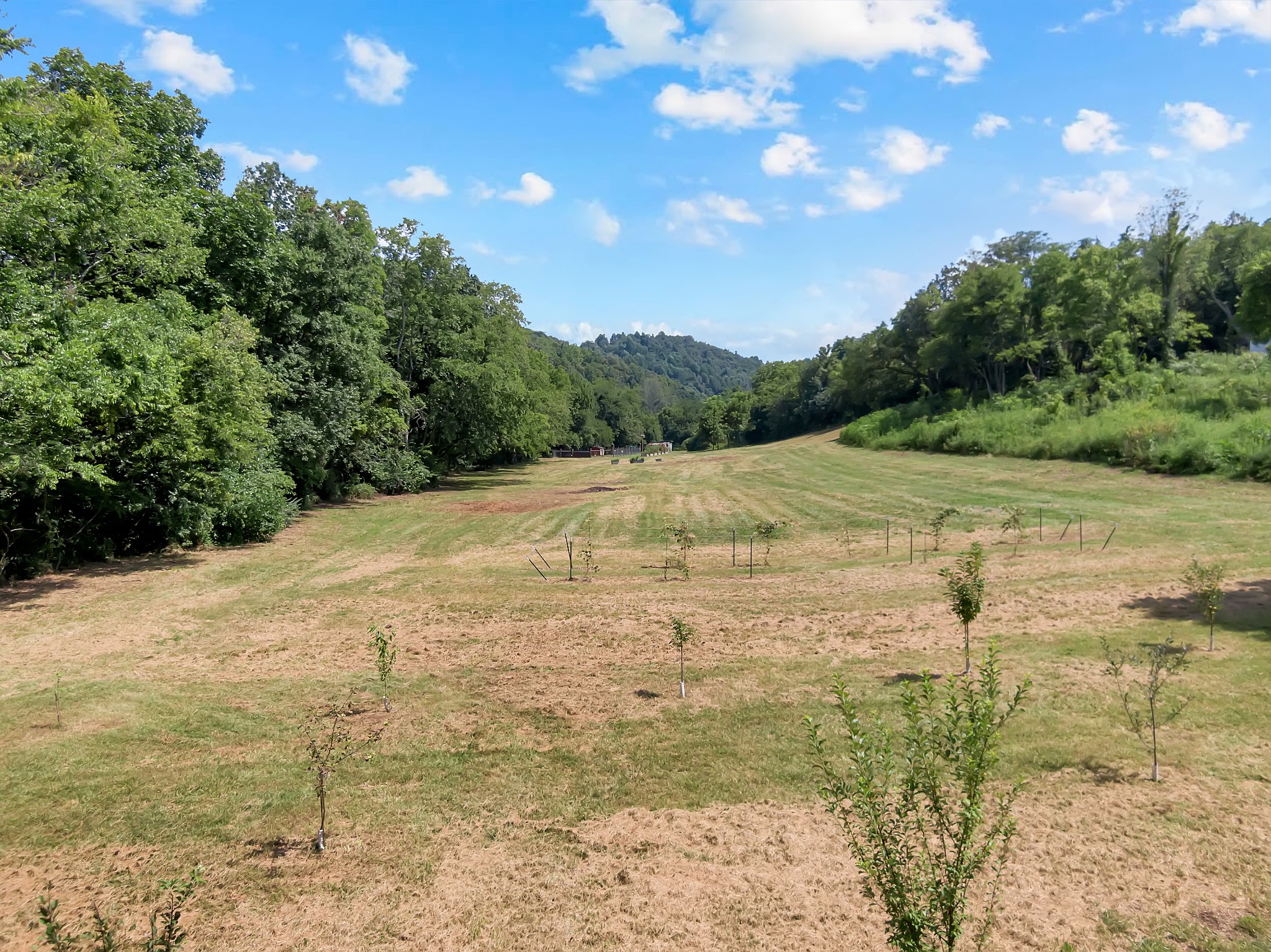 3441 Highway 231, S