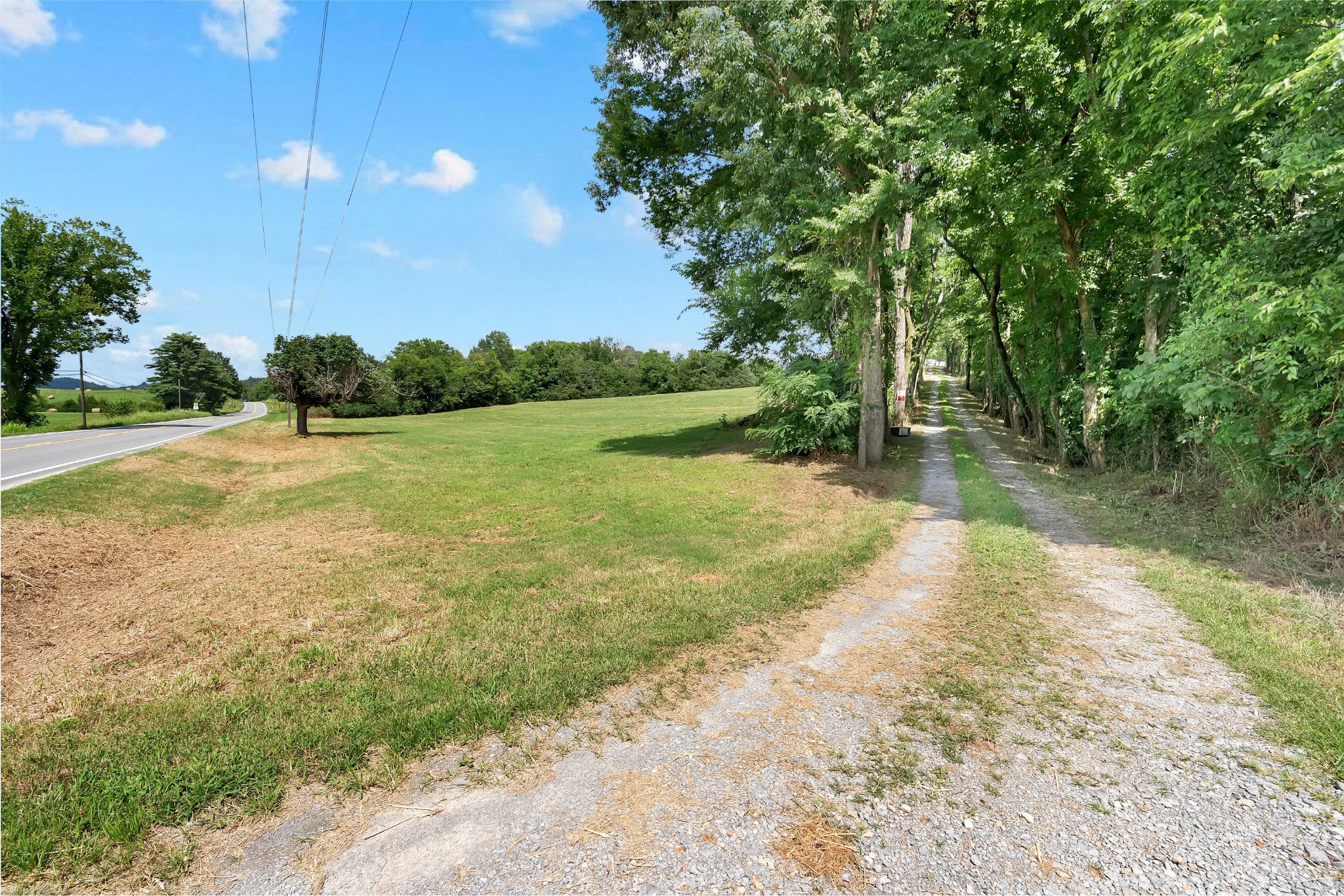 3441 Highway 231, S