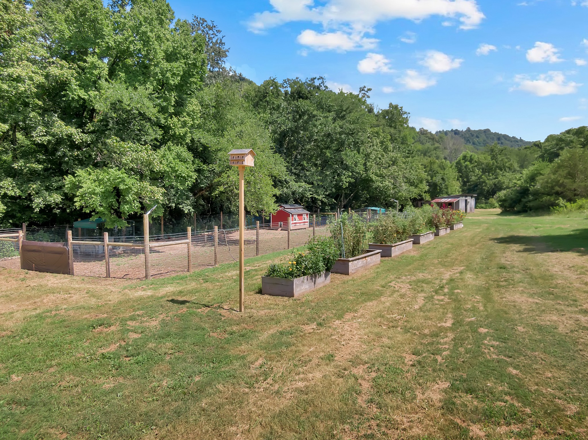 3441 Highway 231, S