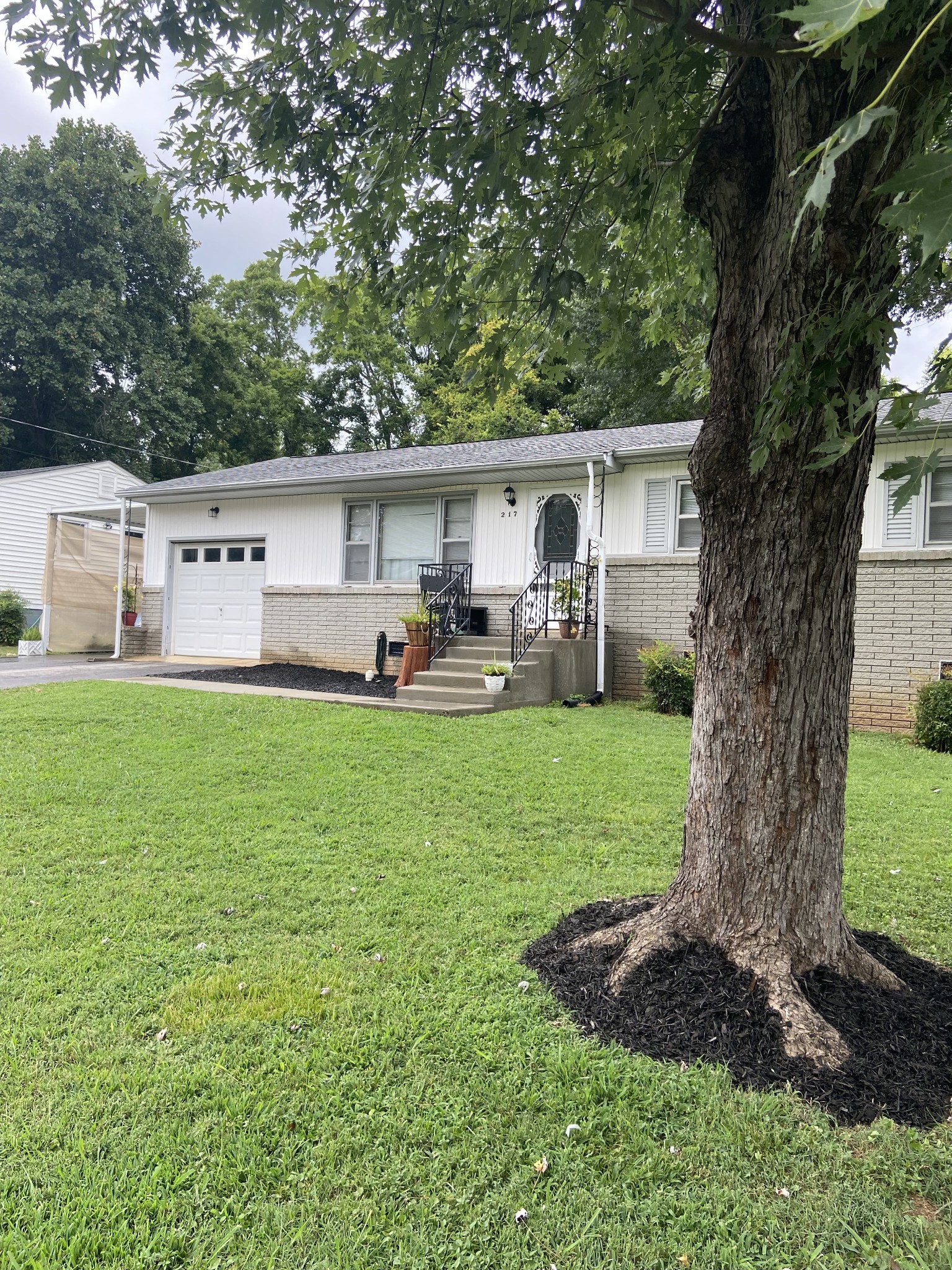 217 Chestnut Dr