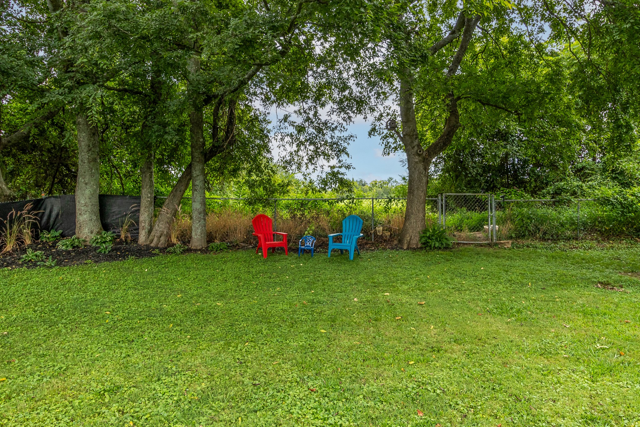 217 Chestnut Dr