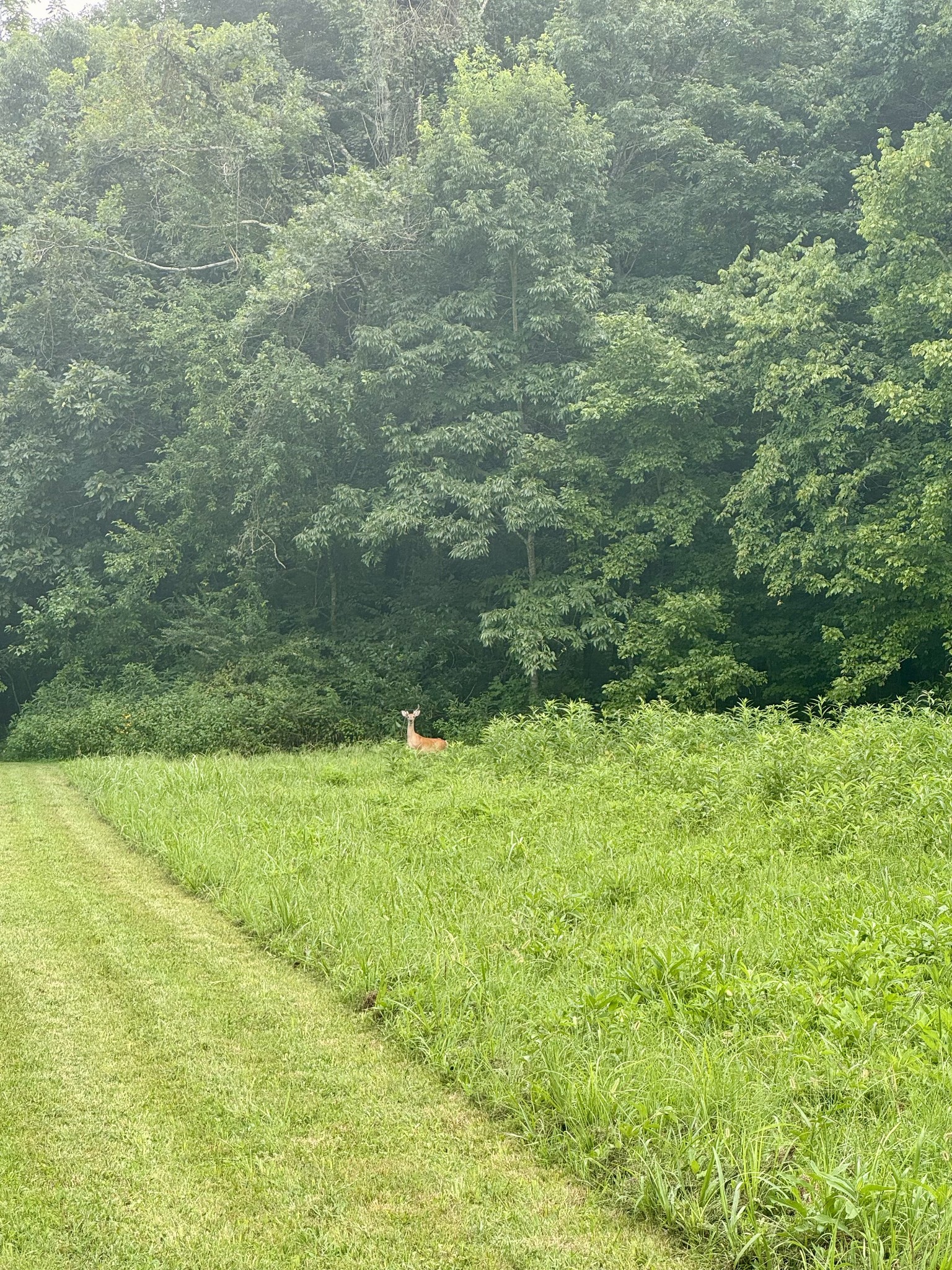 1851 Warner Bridge Rd