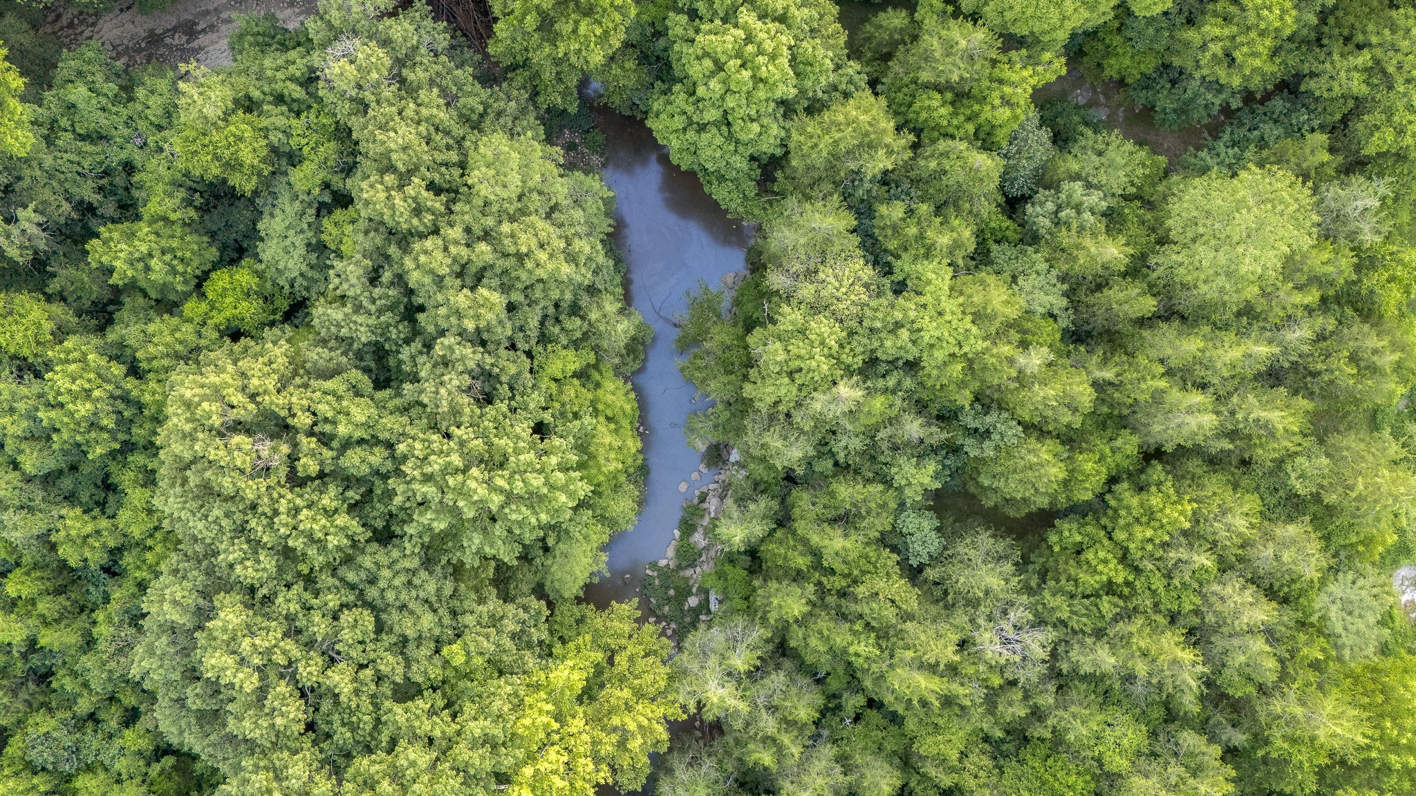 1851 Warner Bridge Rd