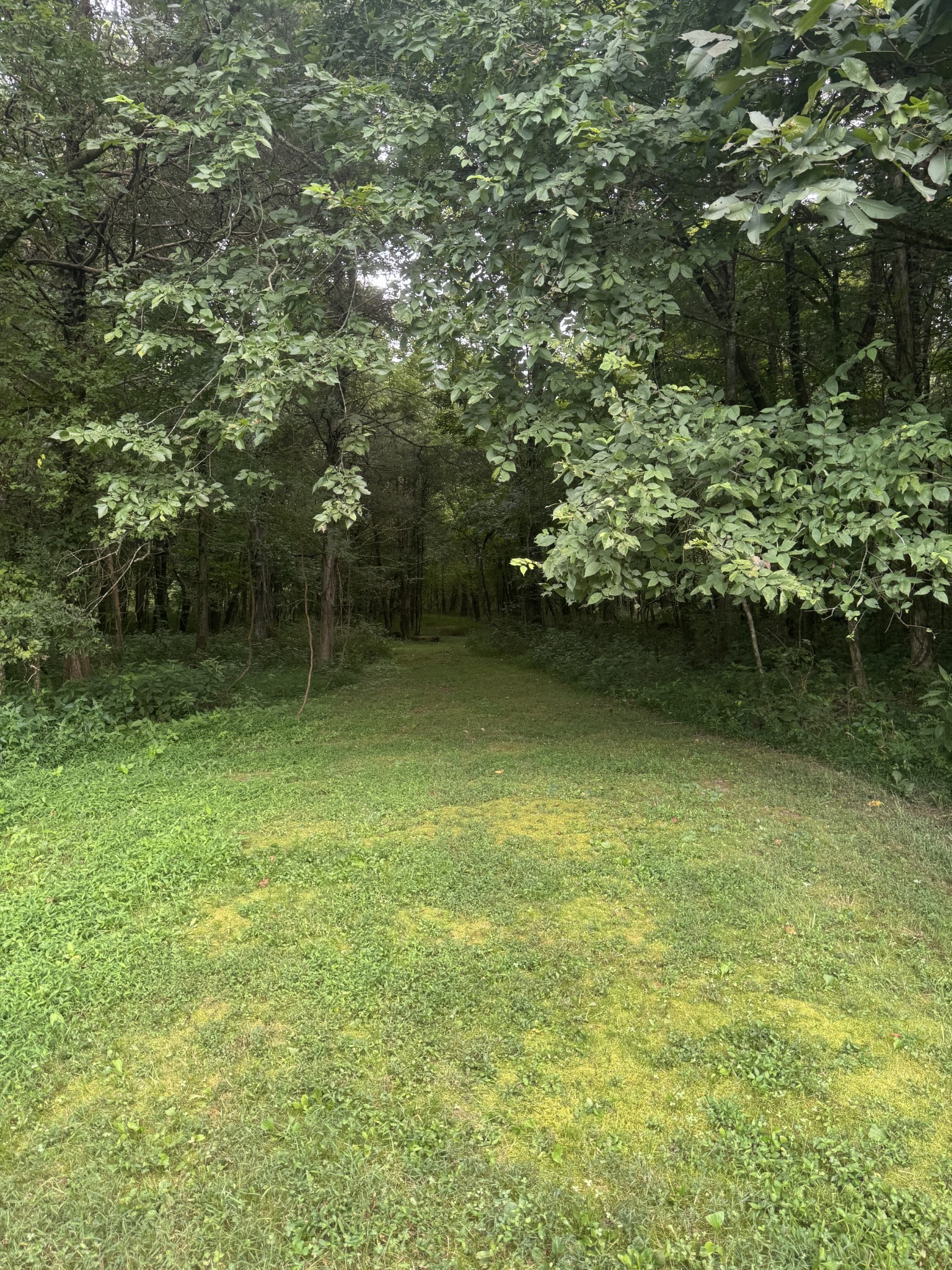 1851 Warner Bridge Rd