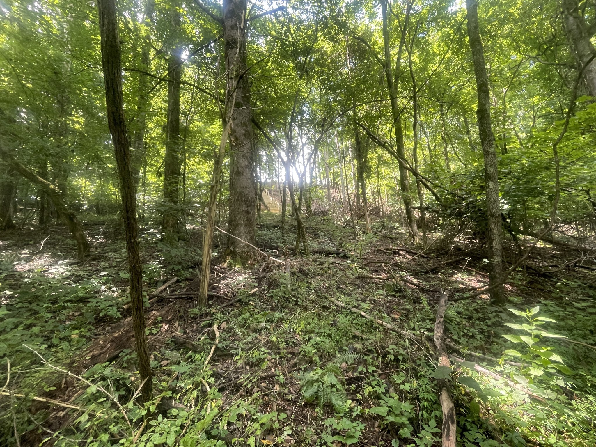 885 Majors Cemetery Rd