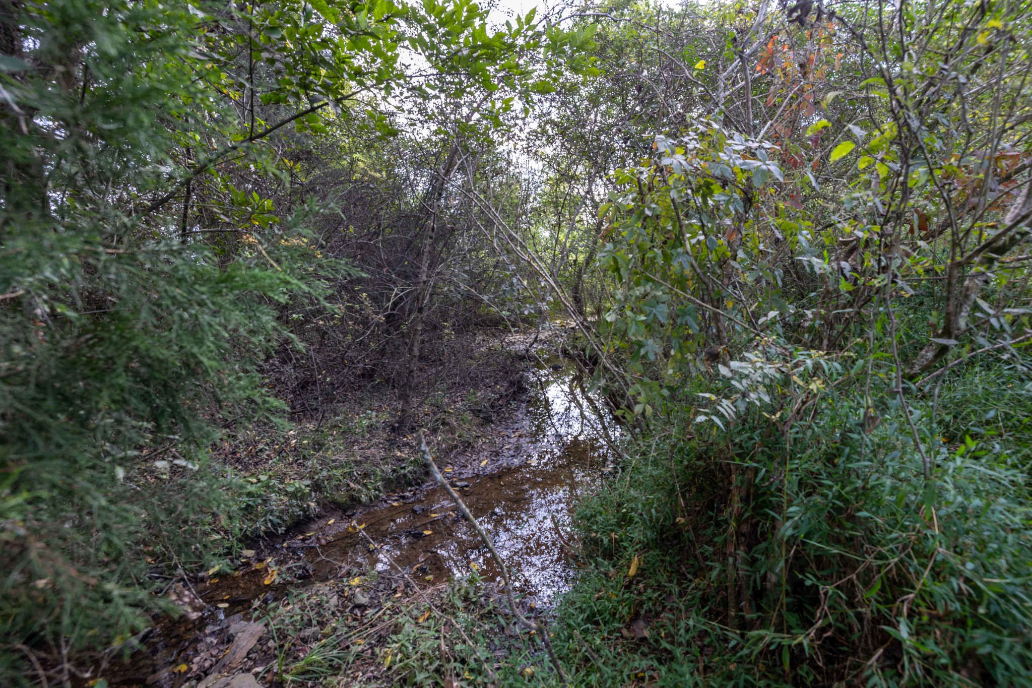 122 Laurelwood Dr