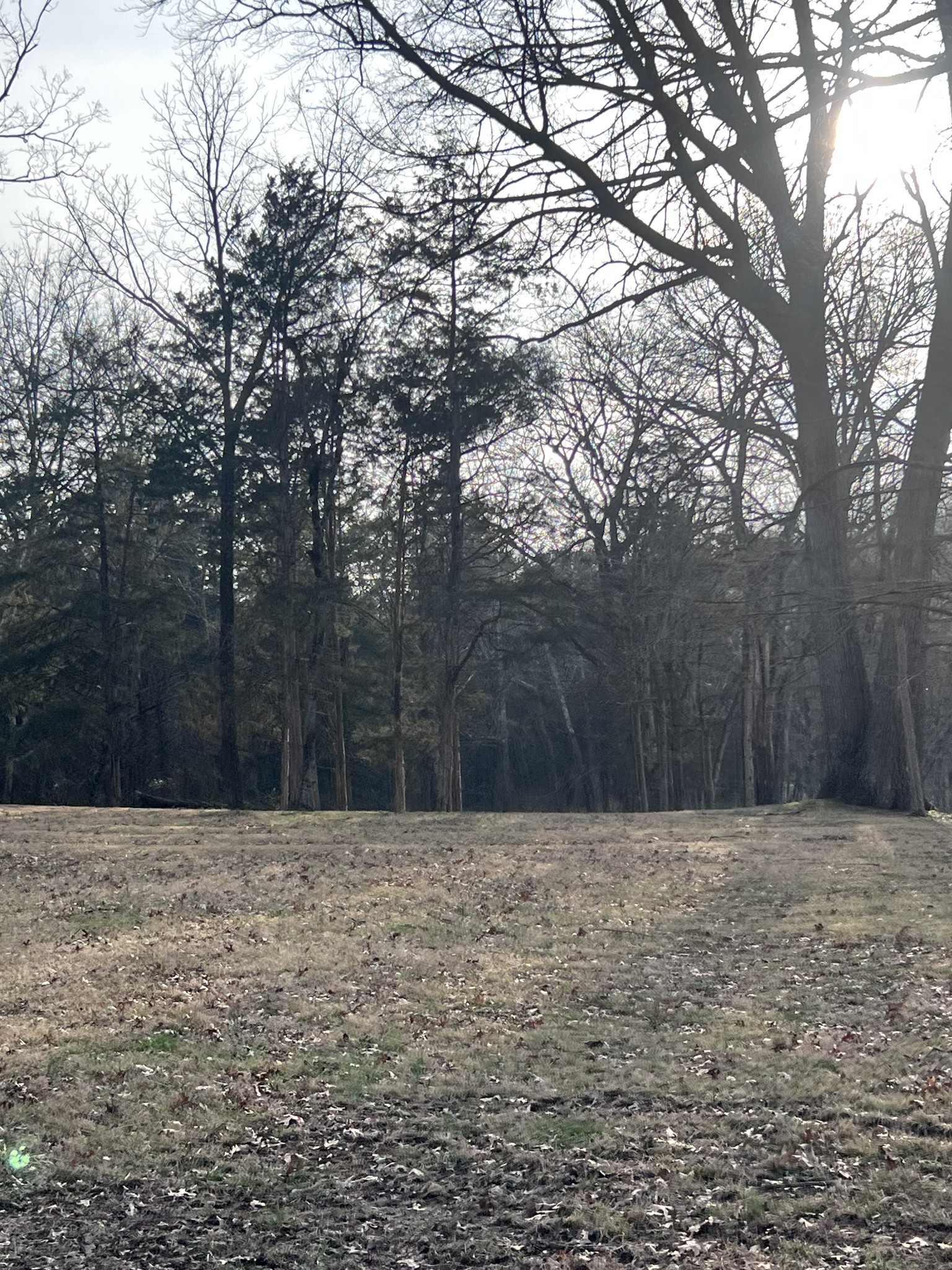 2338 Highway 82, S