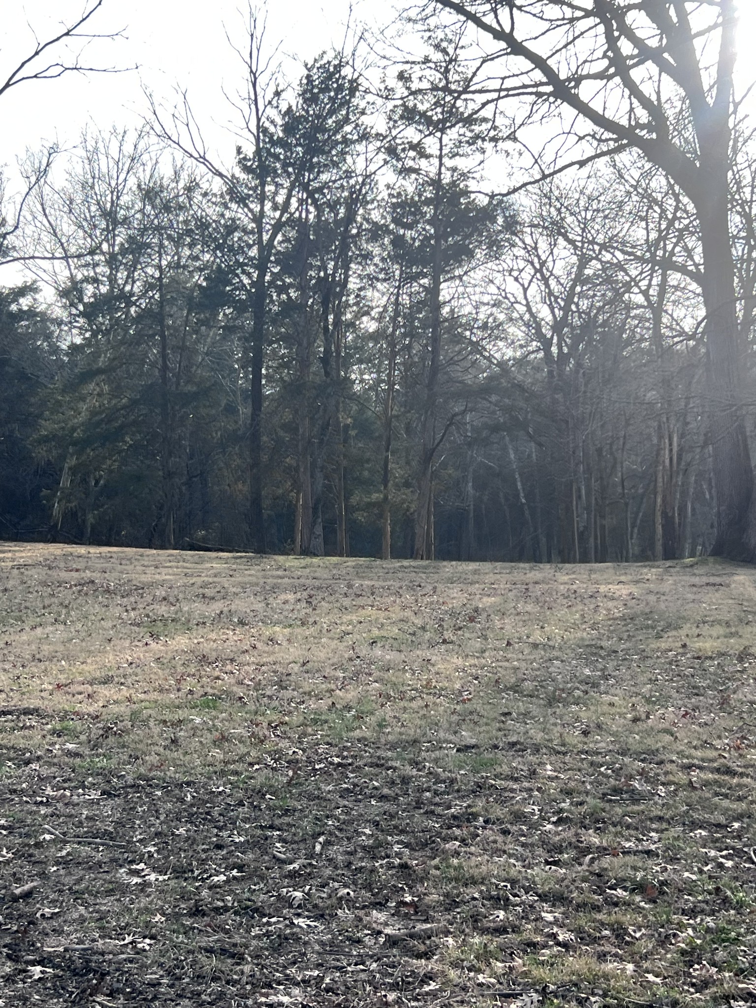 2338 Highway 82, S