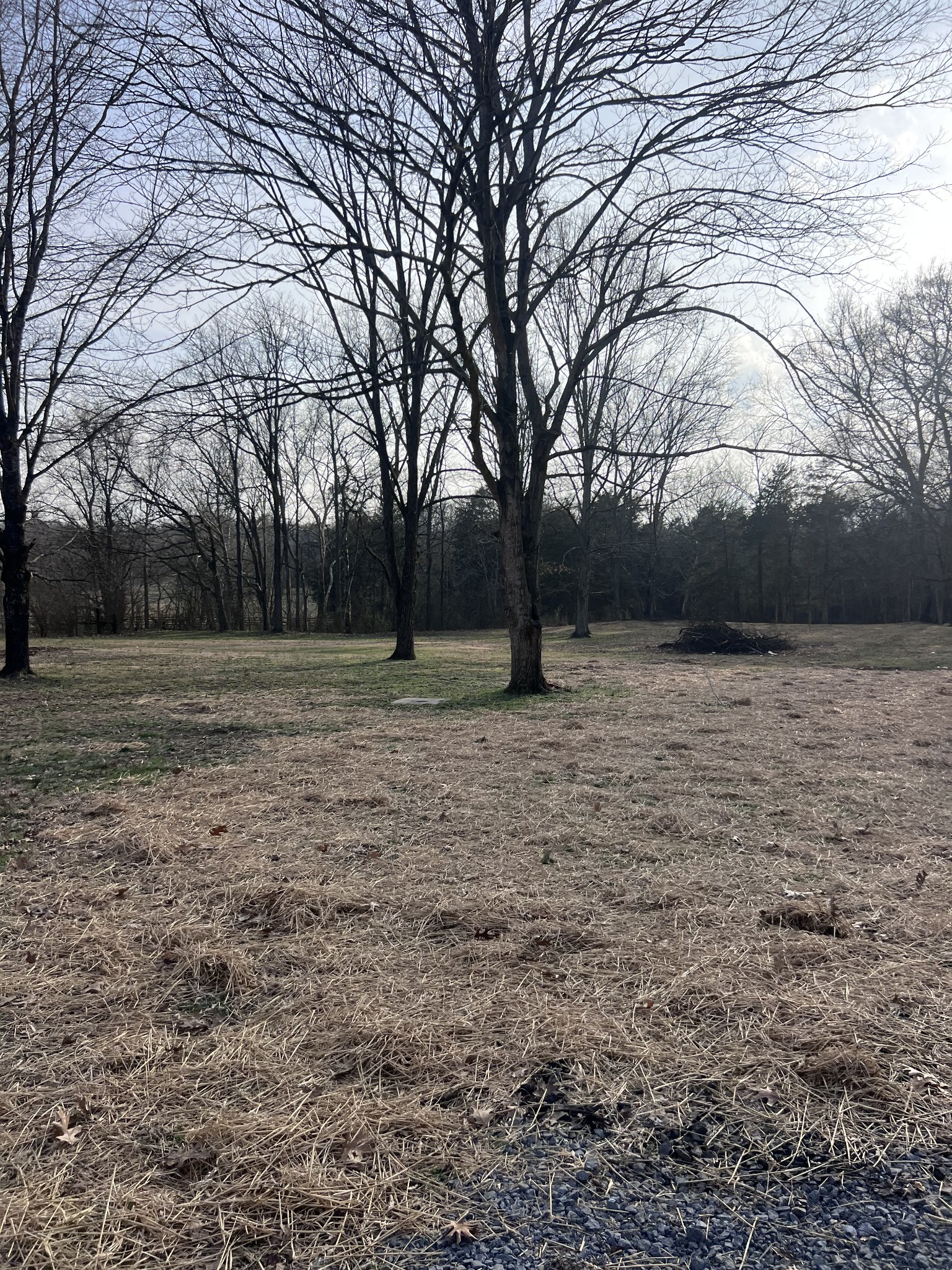 2338 Highway 82, S