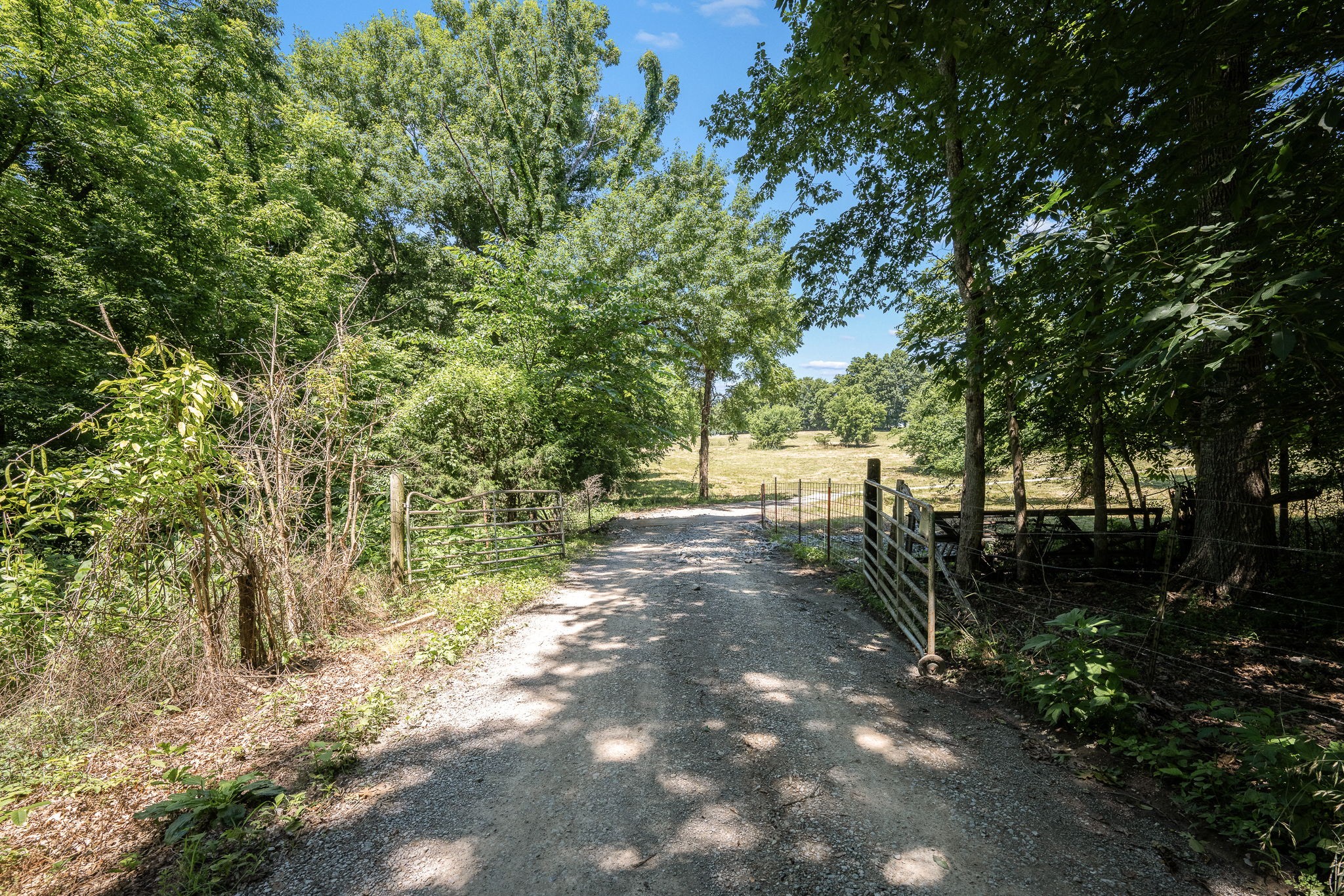 505 Philippi Rd