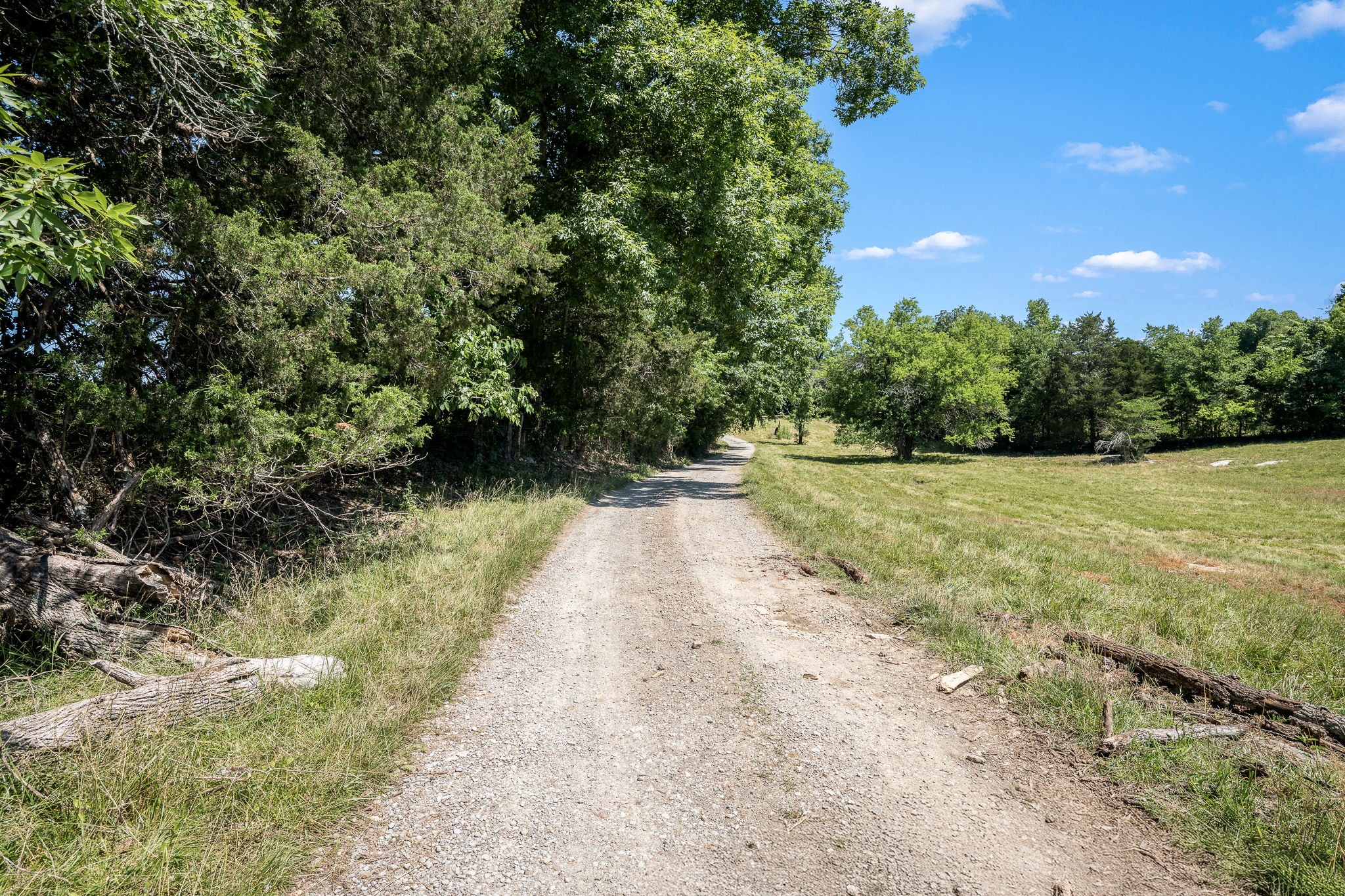 505 Philippi Rd