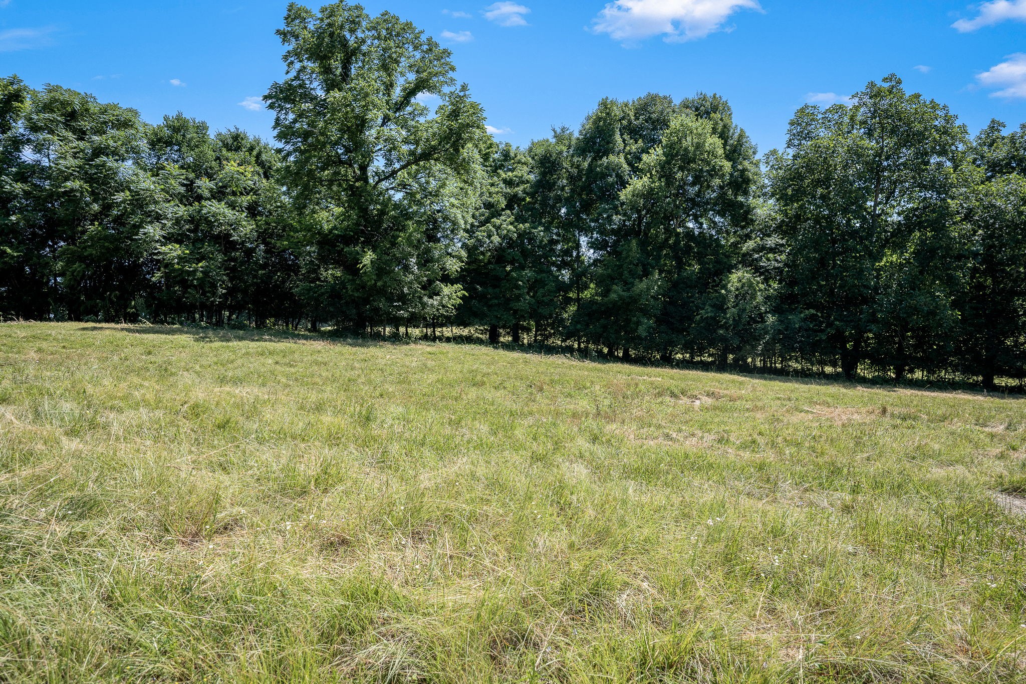 505 Philippi Rd