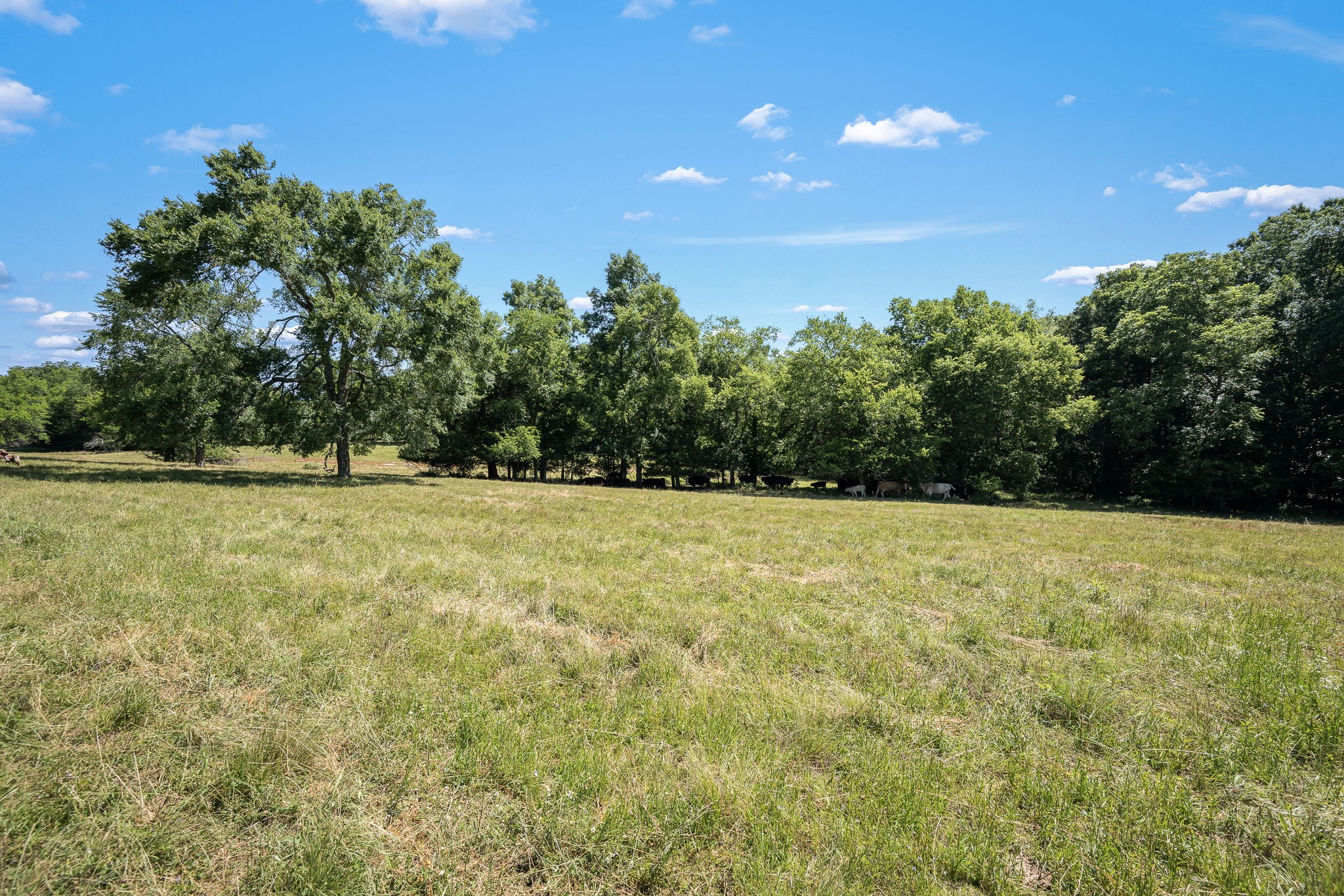 505 Philippi Rd