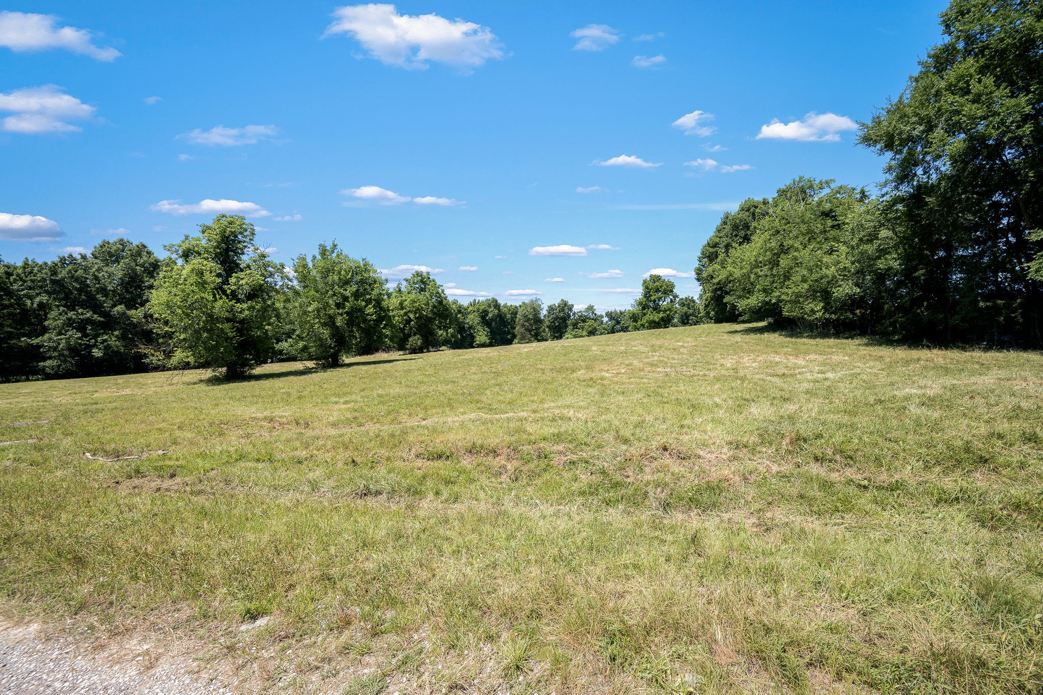 505 Philippi Rd