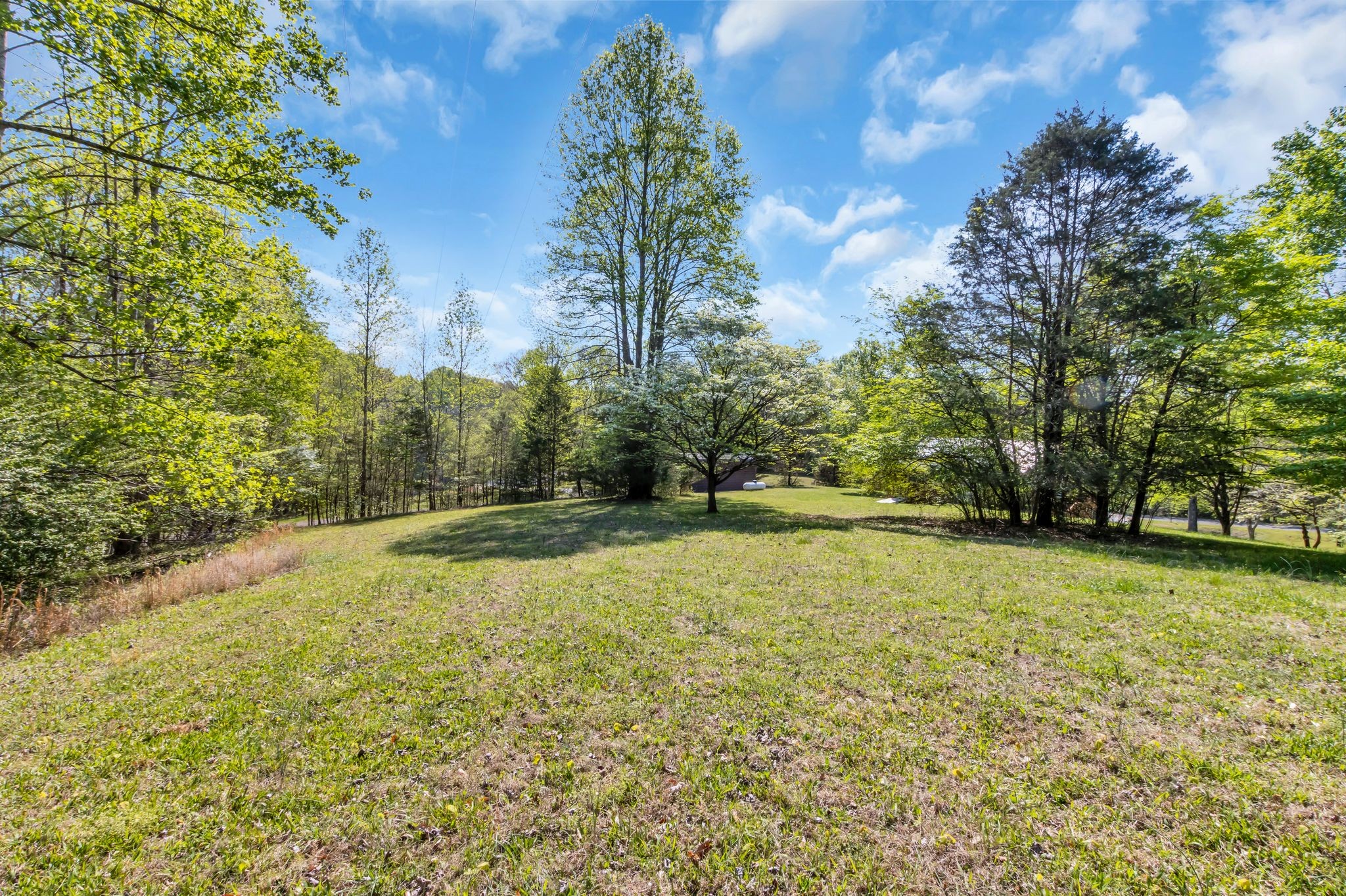 129 Carrol Way
