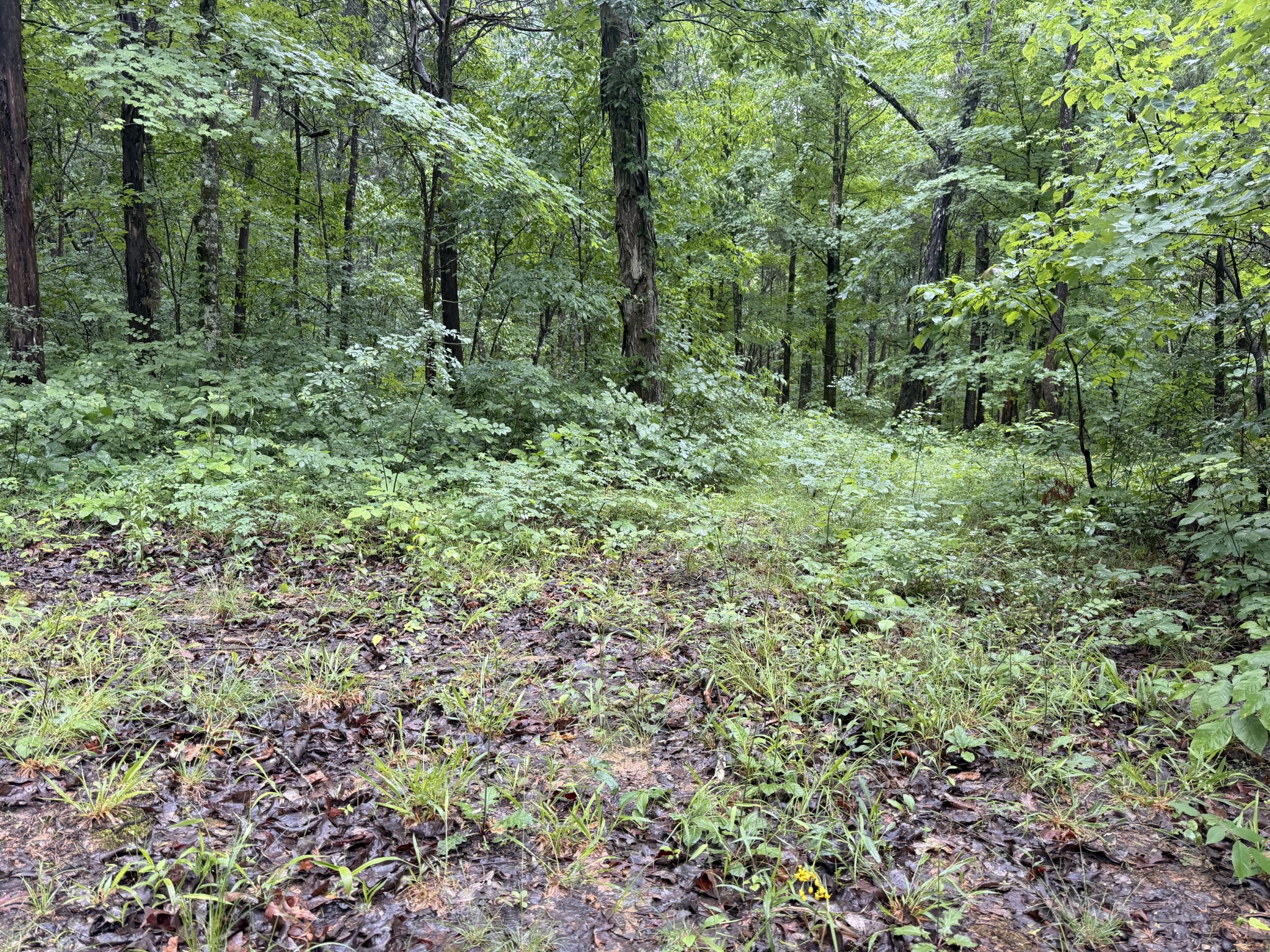 670 Comer Rd