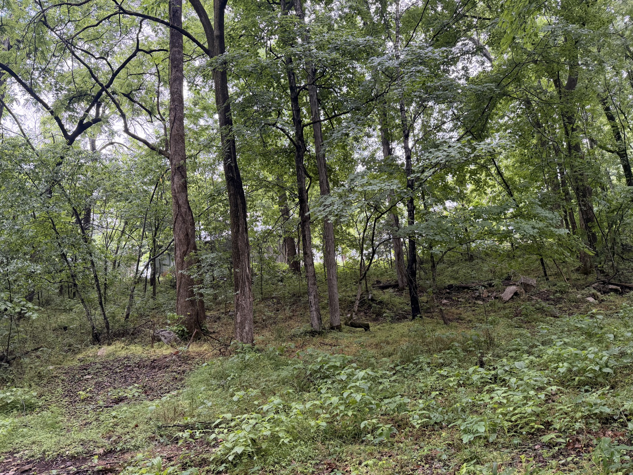 670 Comer Rd