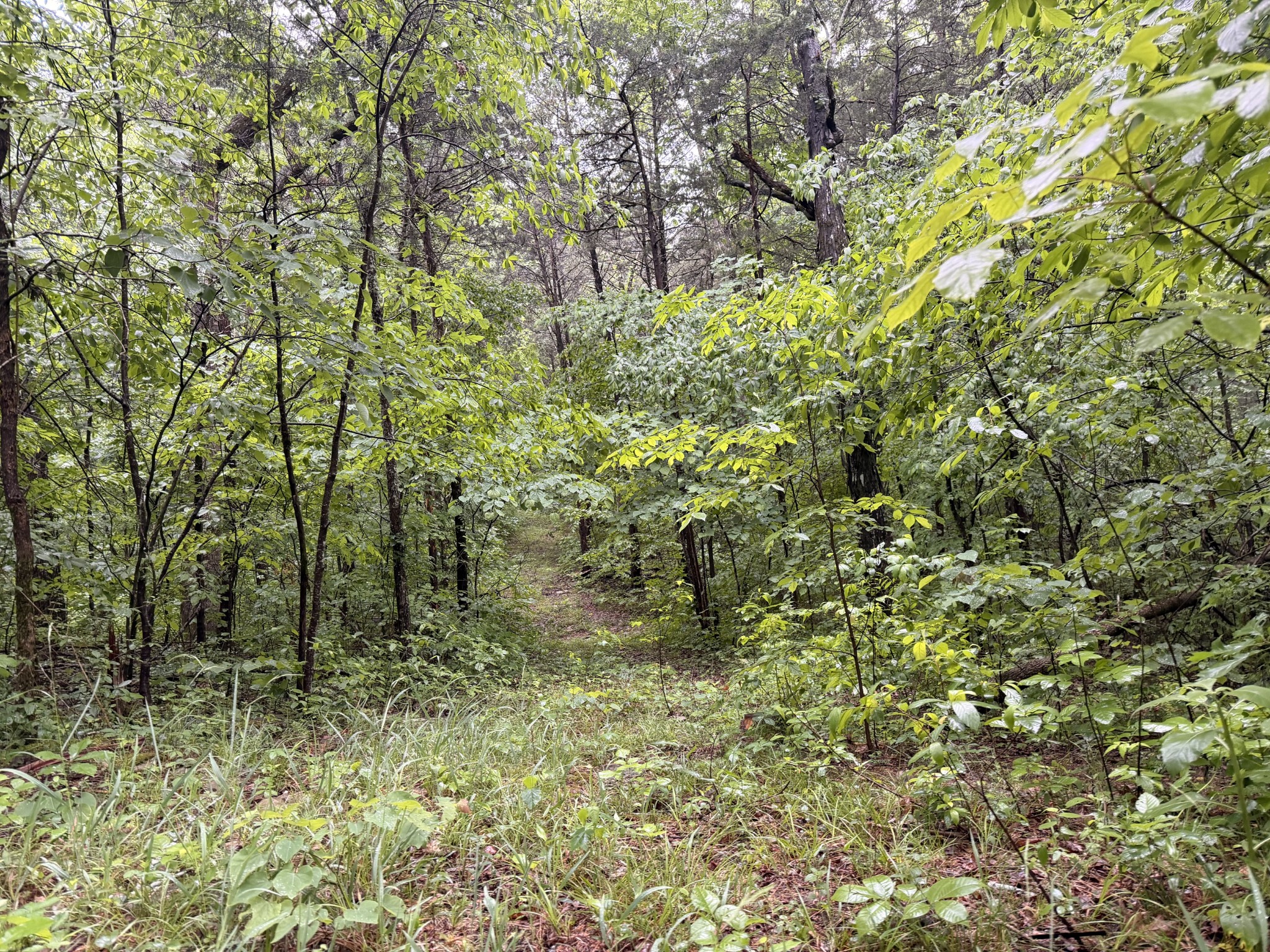 670 Comer Rd