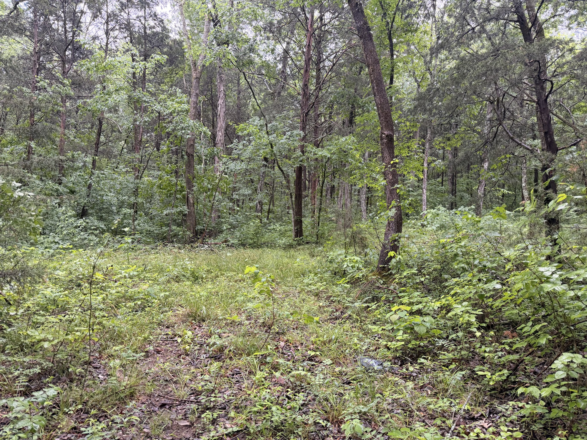 670 Comer Rd