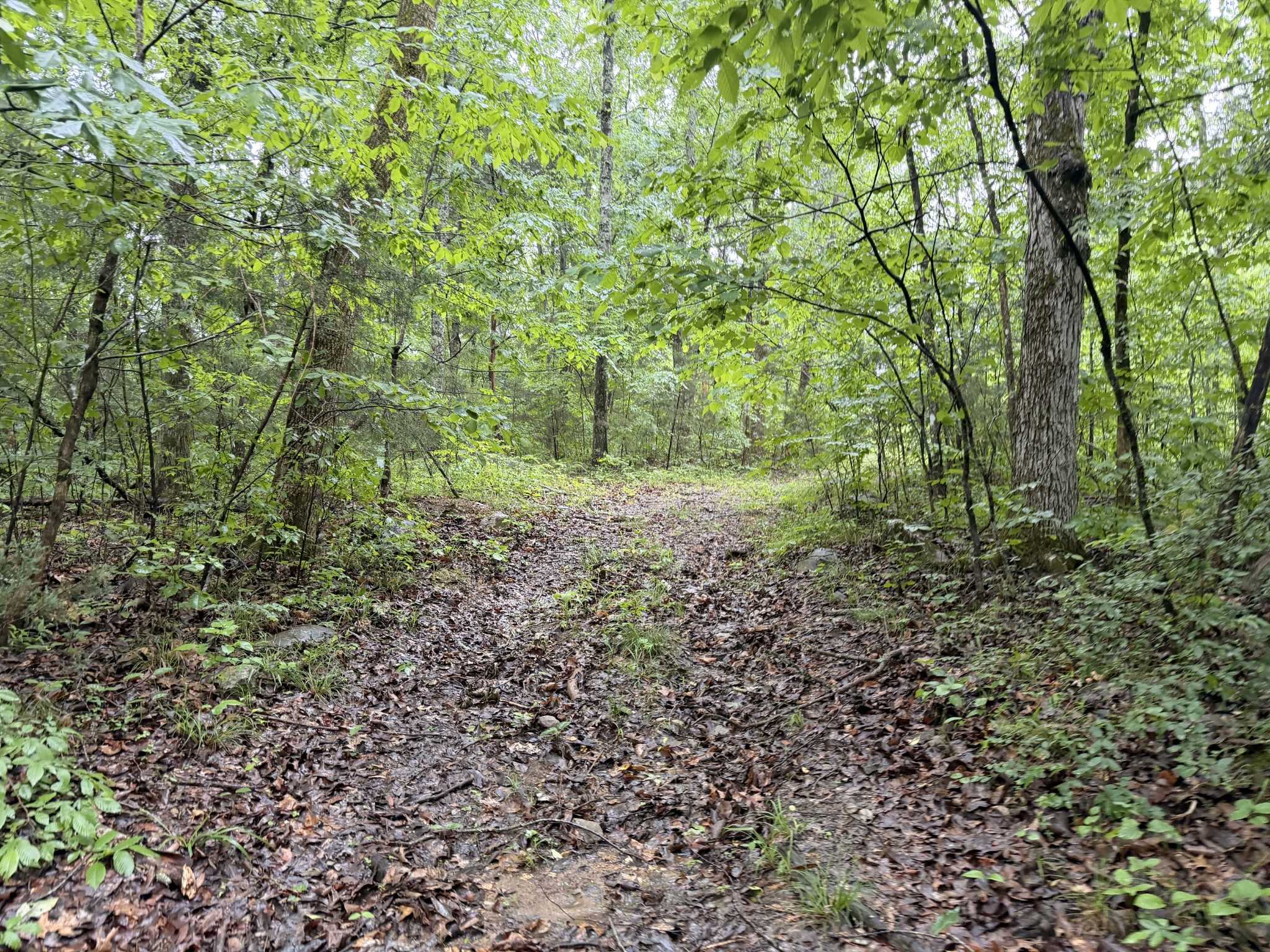 670 Comer Rd