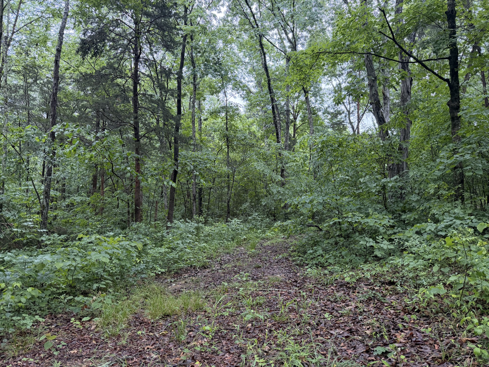 670 Comer Rd