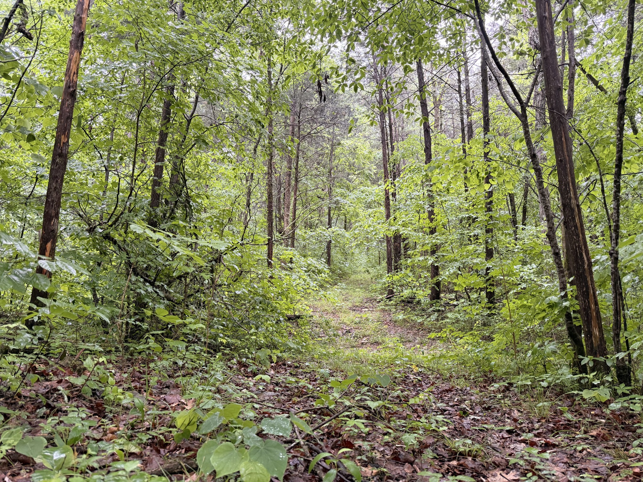 670 Comer Rd