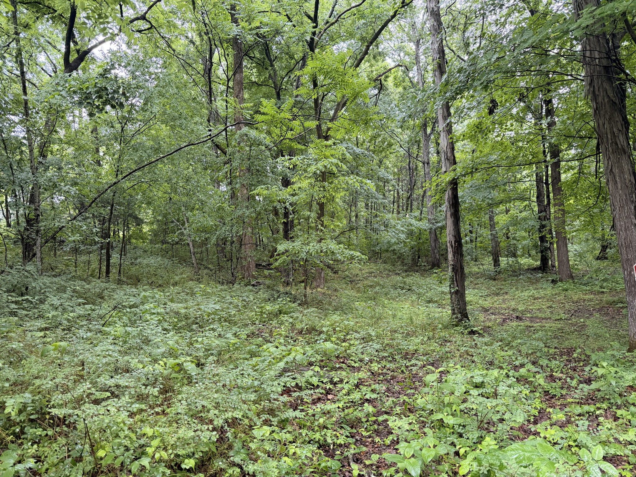 670 Comer Rd