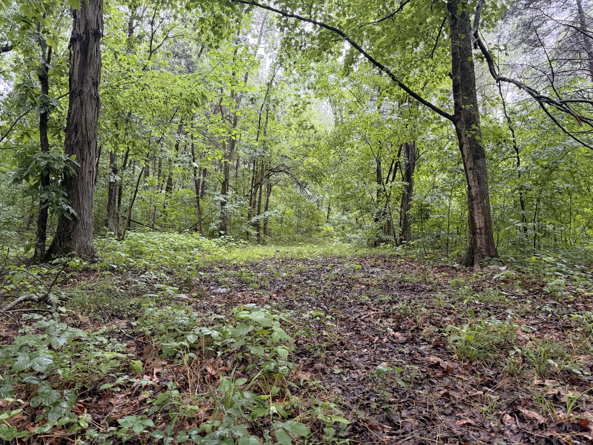 670 Comer Rd