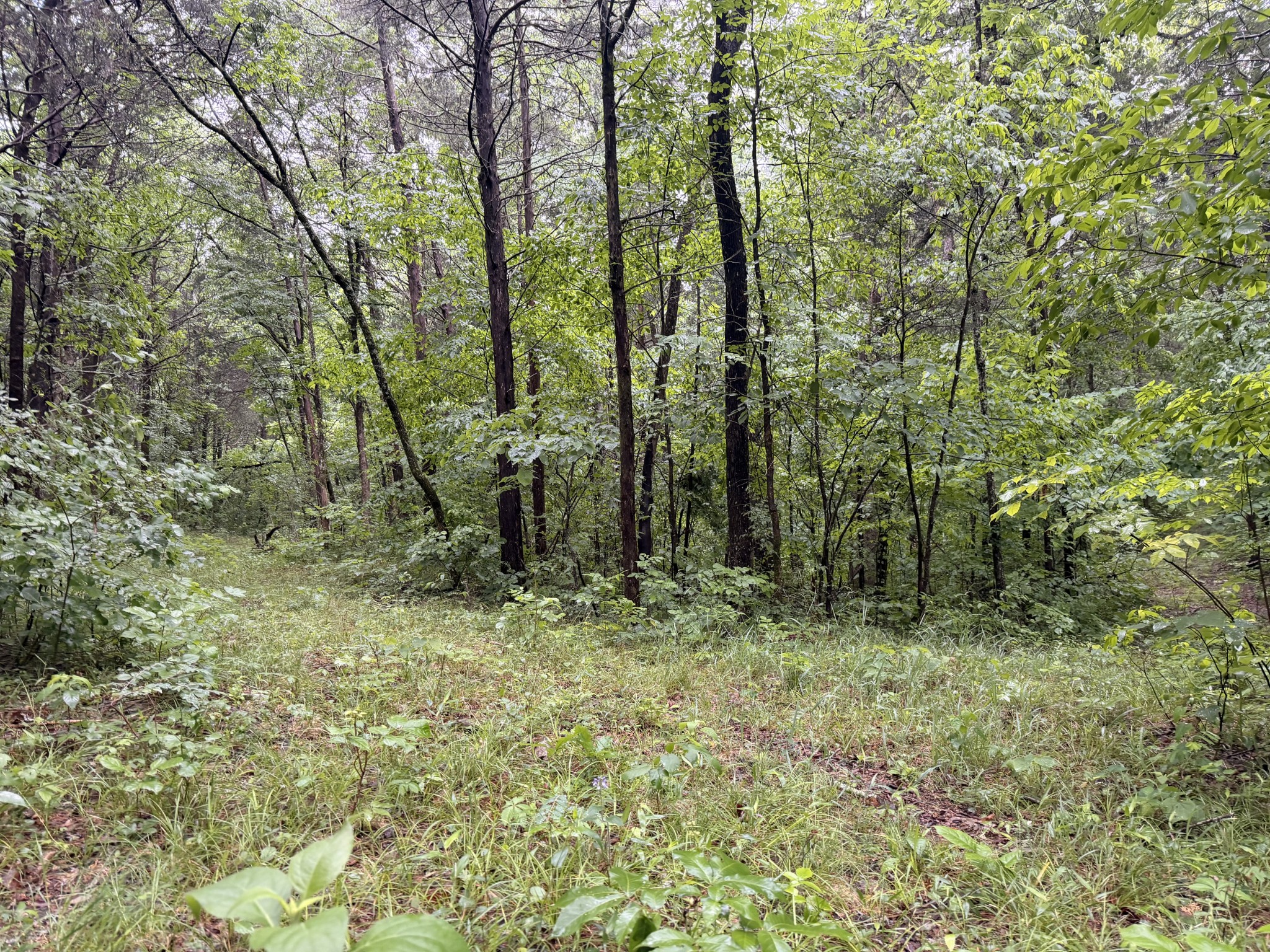 670 Comer Rd