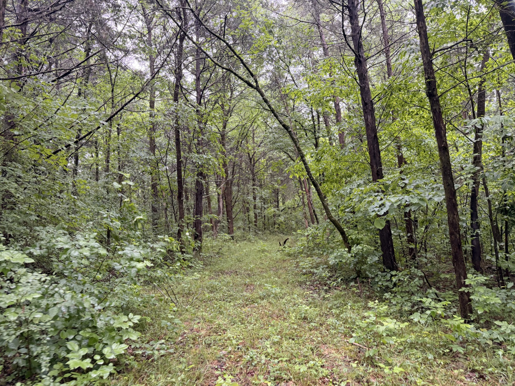670 Comer Rd