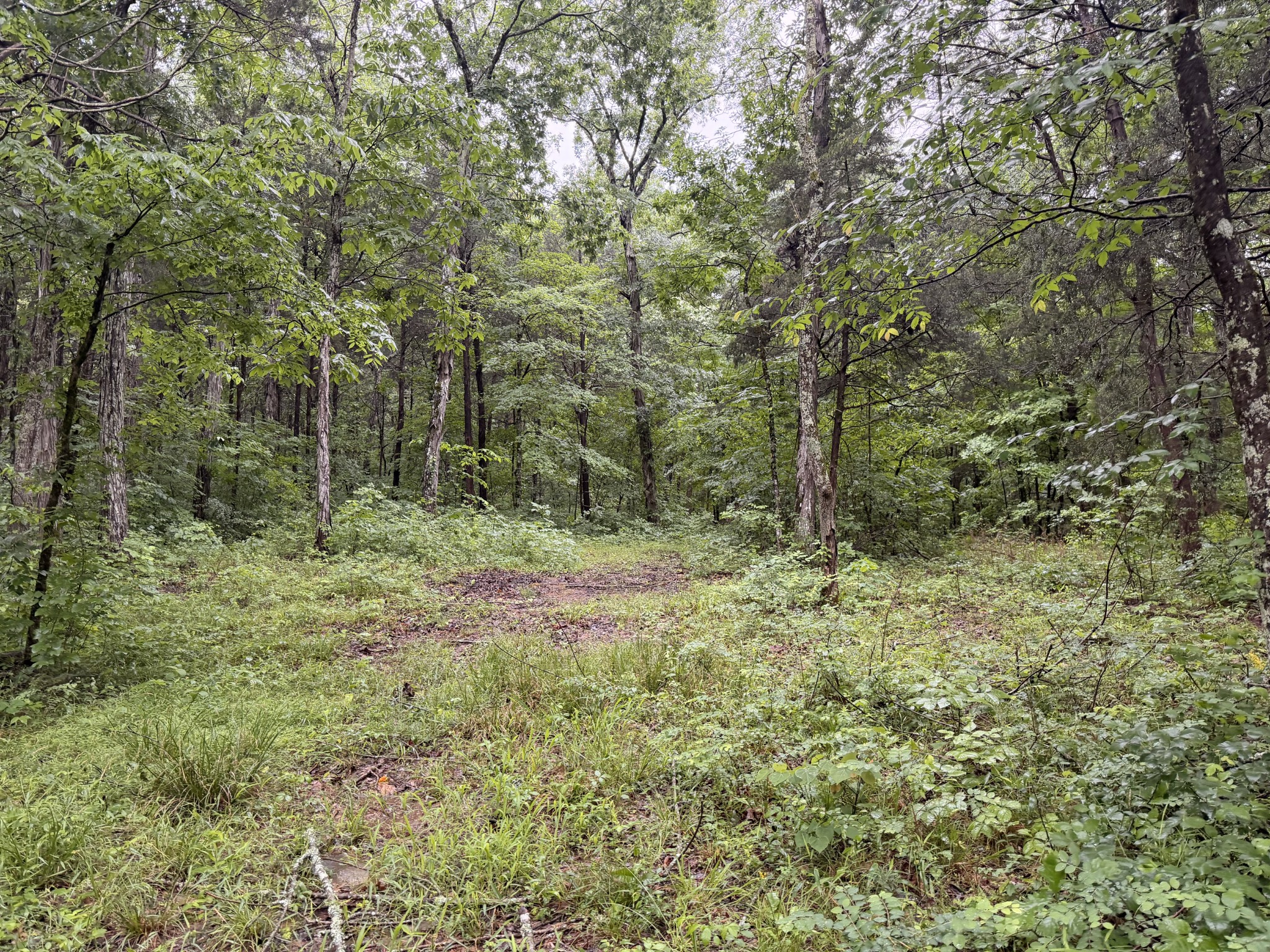 670 Comer Rd
