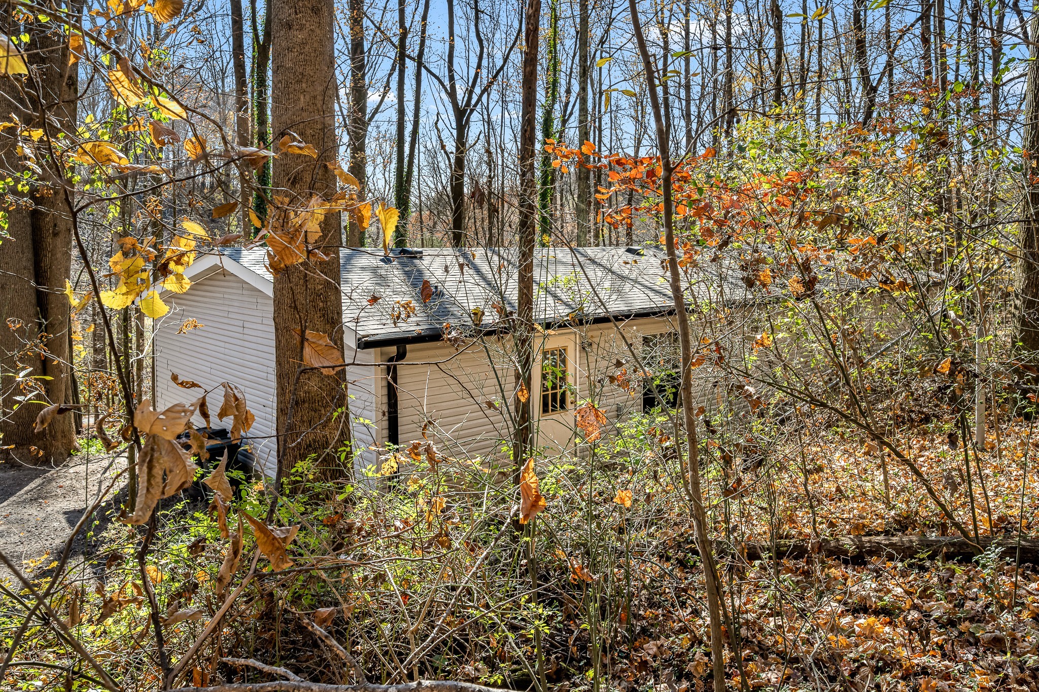 291 Joe Hart Rd