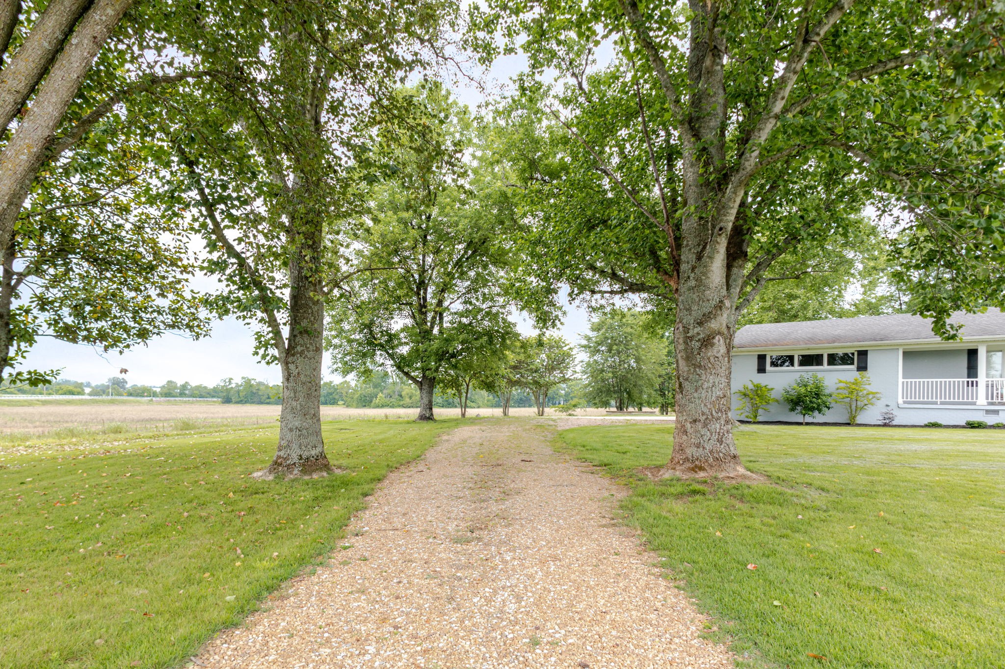 540 Snell Rd