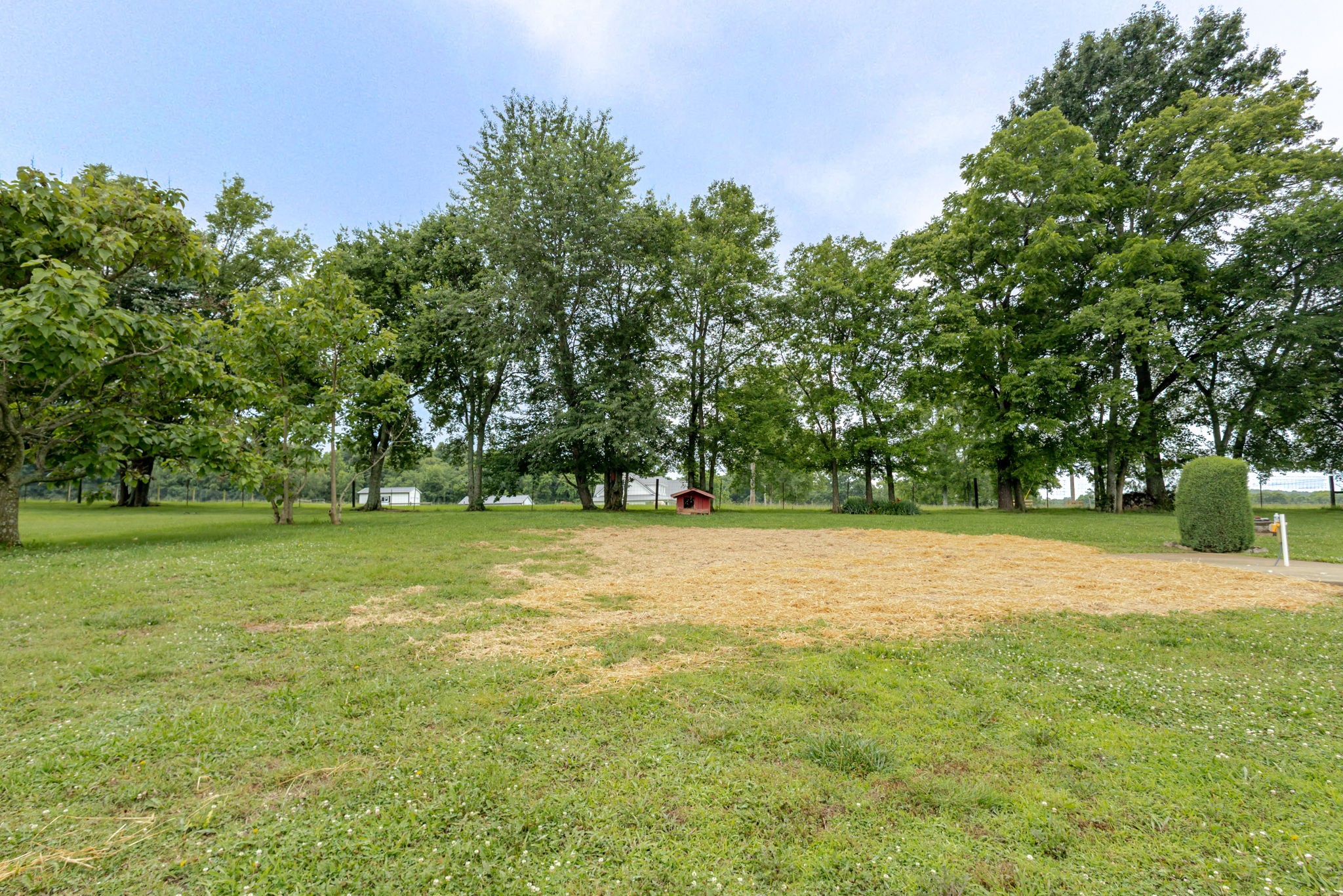 104 Redbud Dr