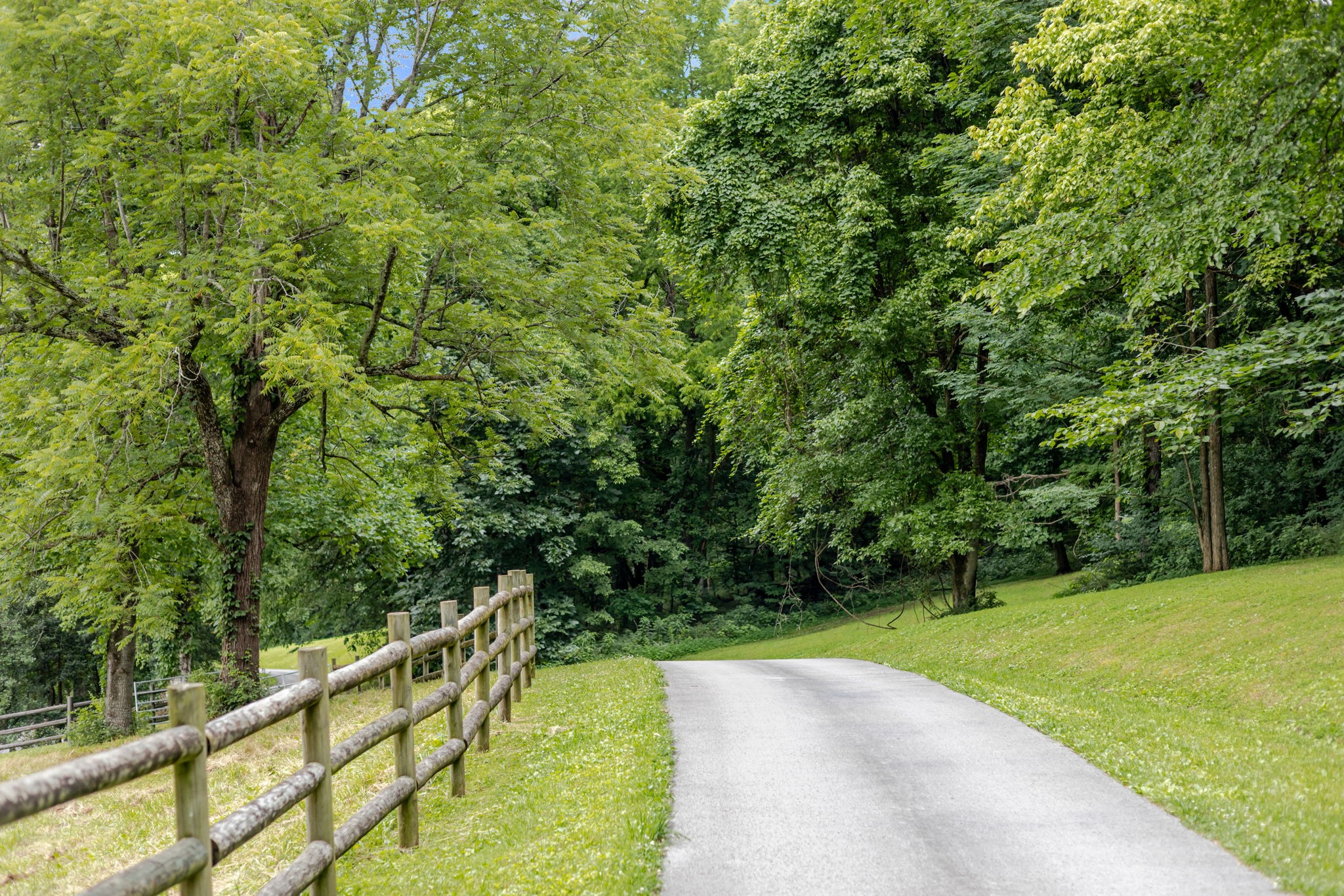 391 Bluestocking Hollow Rd