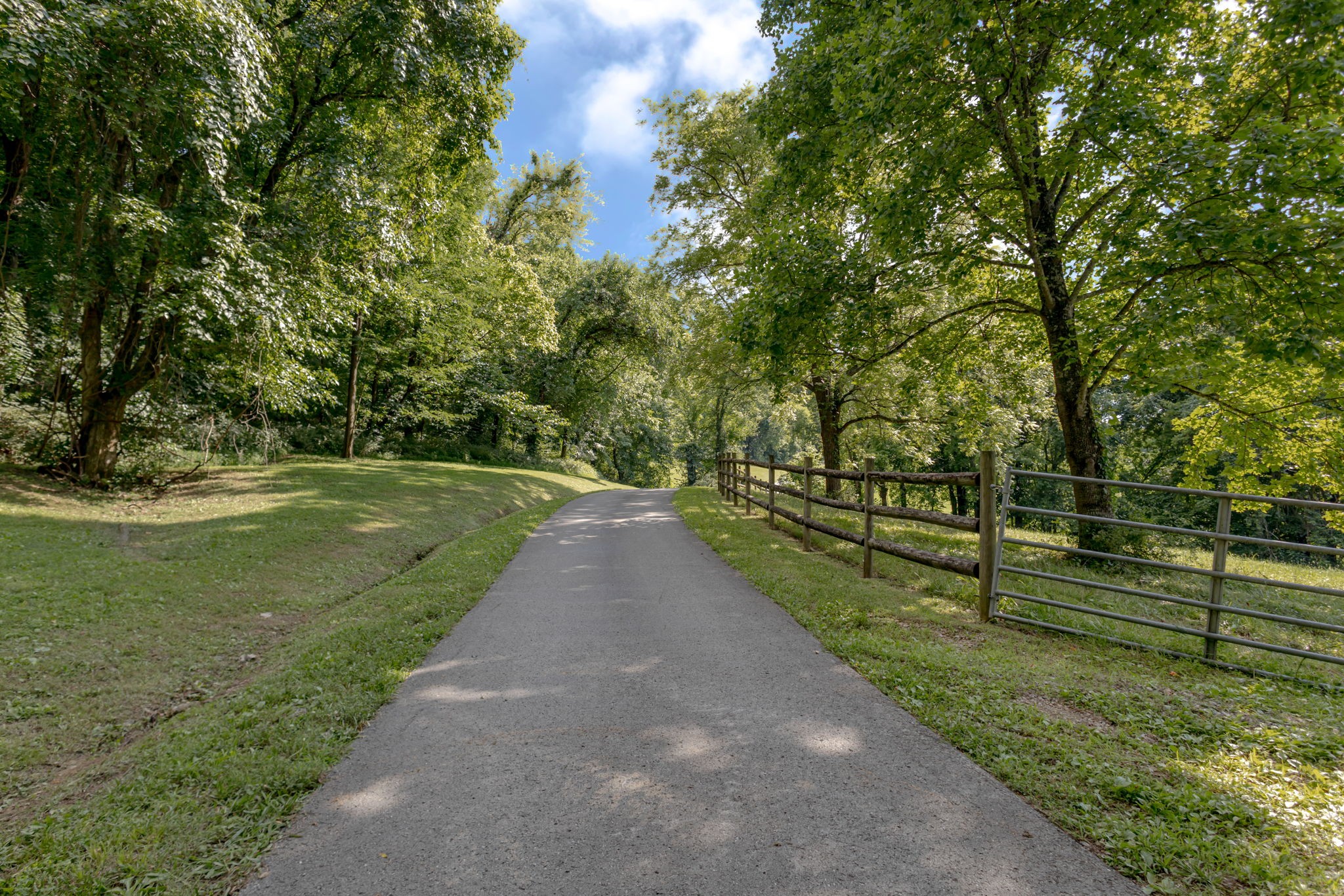 391 Bluestocking Hollow Rd