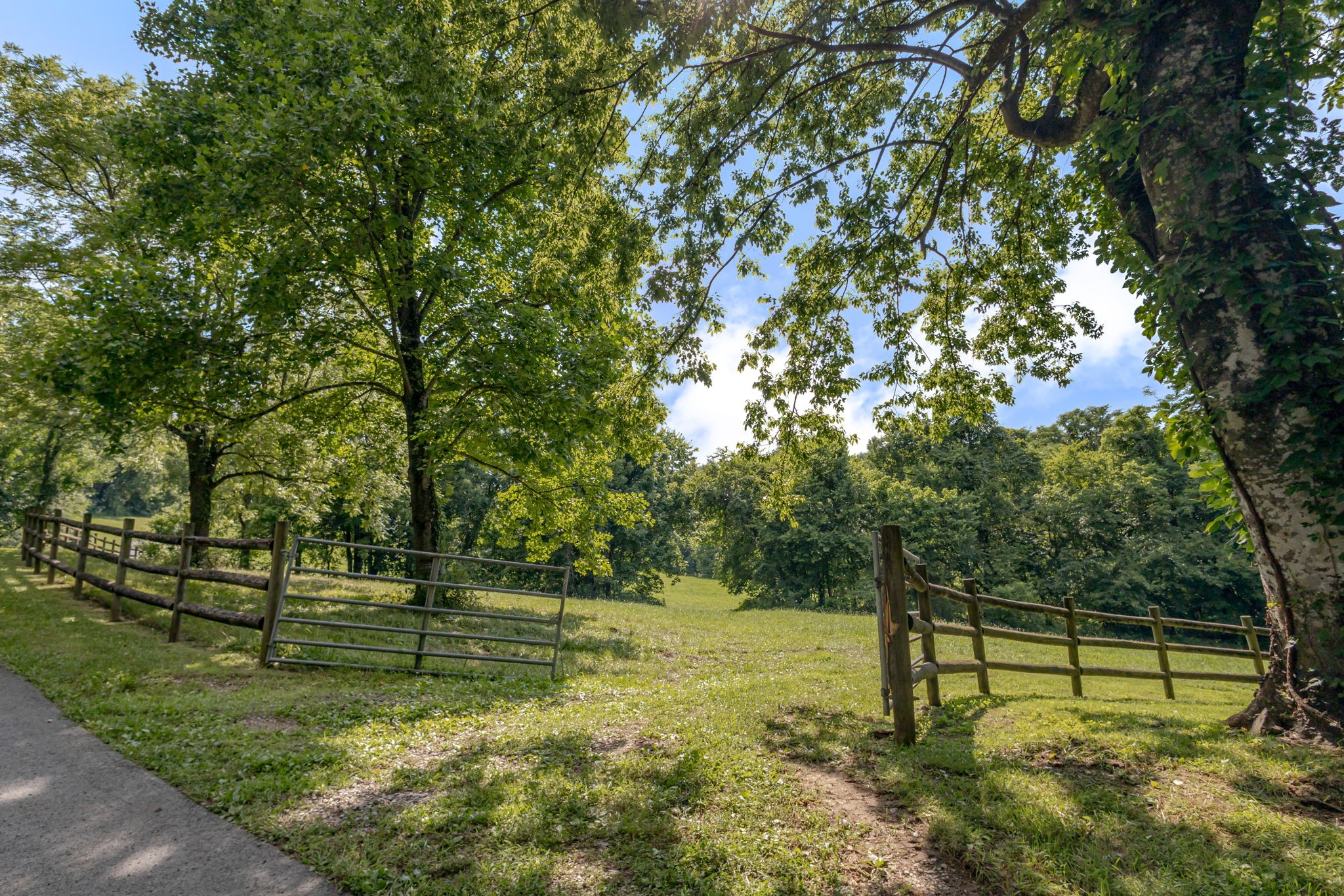 391 Bluestocking Hollow Rd