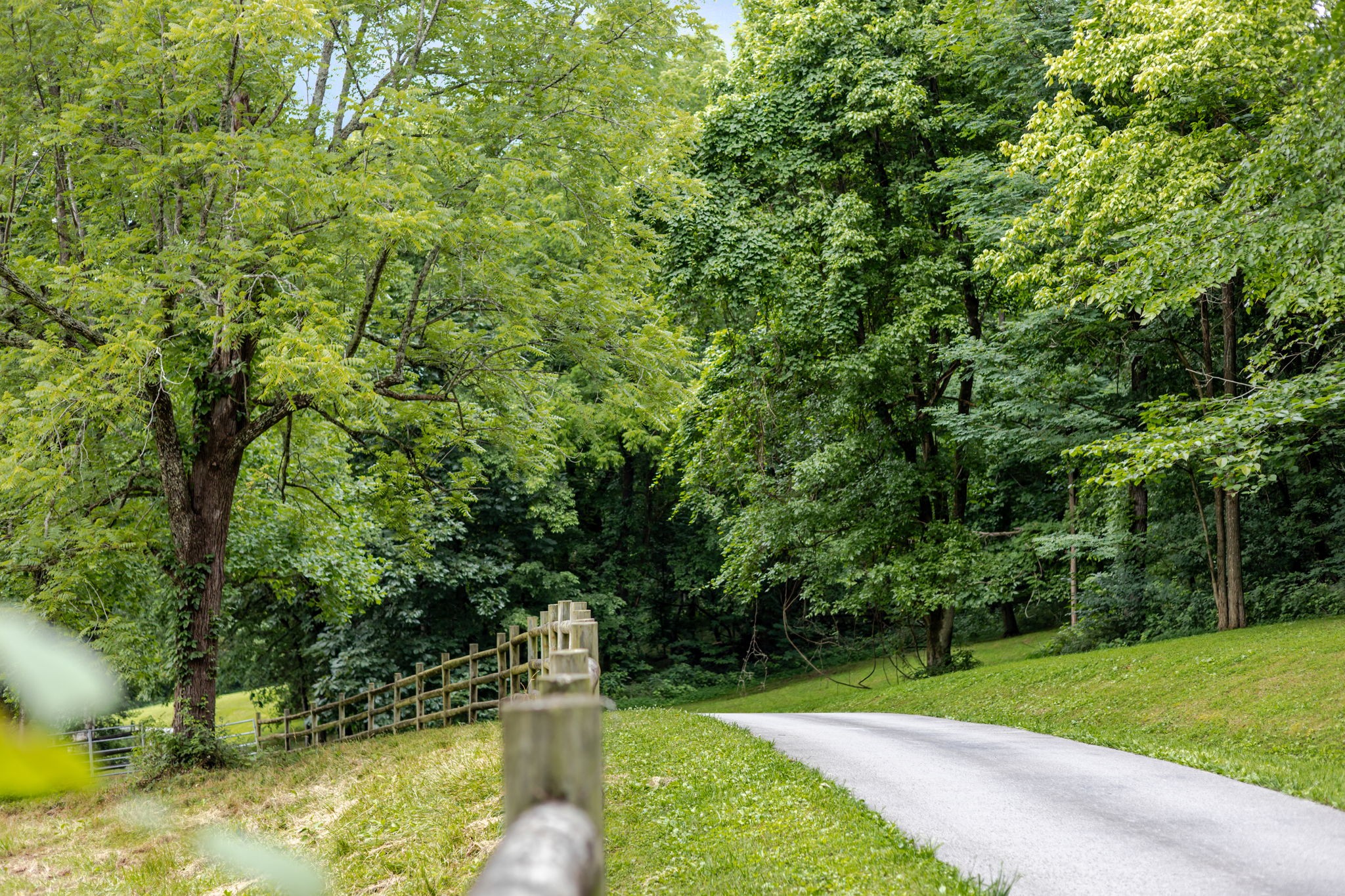 391 Bluestocking Hollow Rd