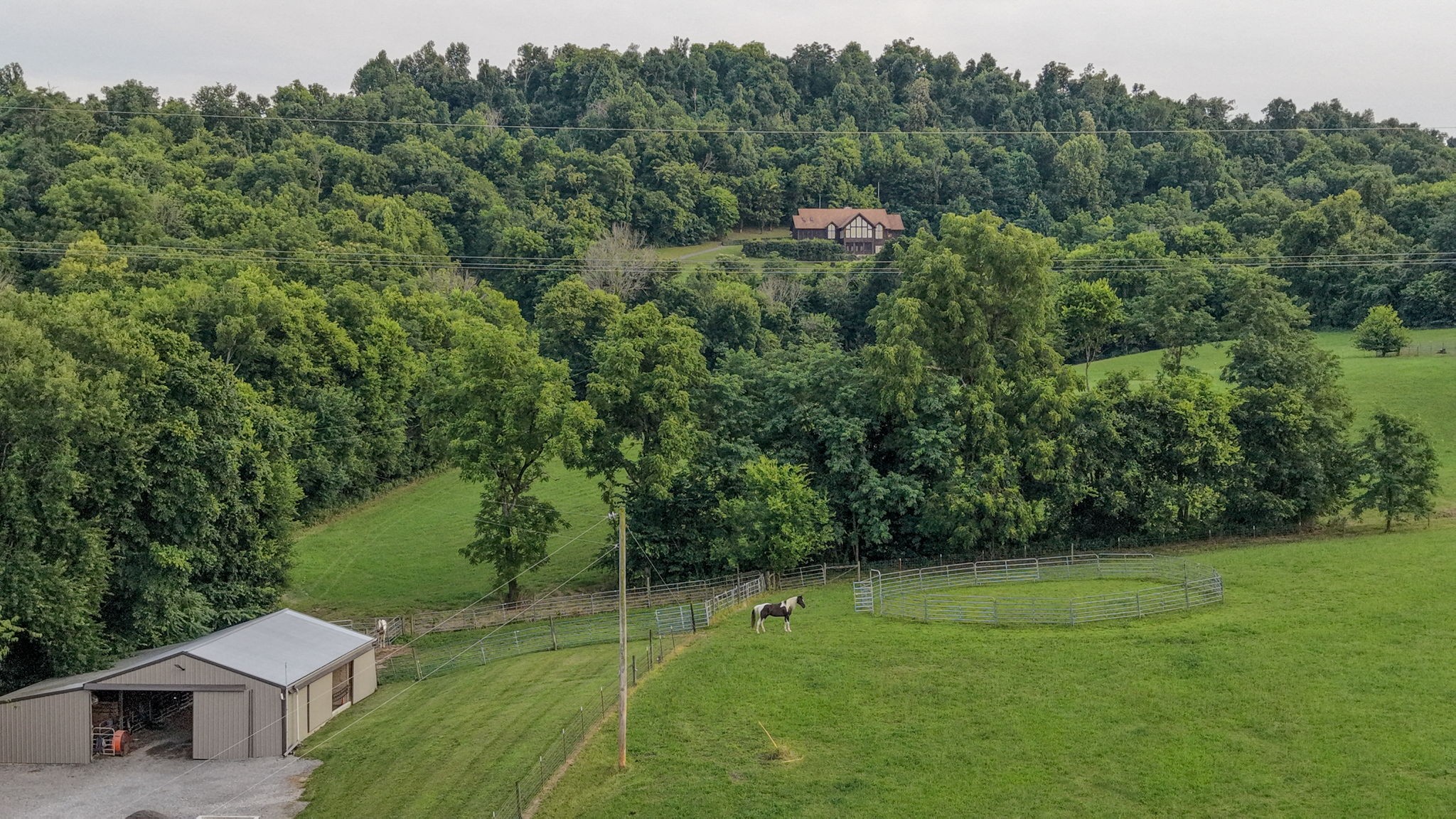 391 Bluestocking Hollow Rd
