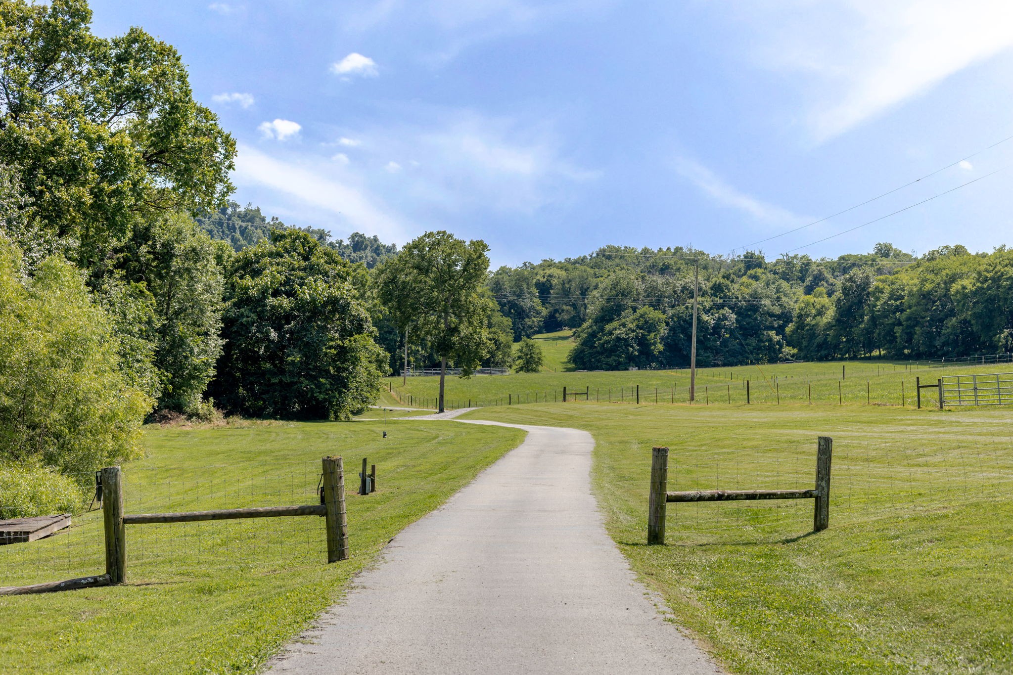 391 Bluestocking Hollow Rd