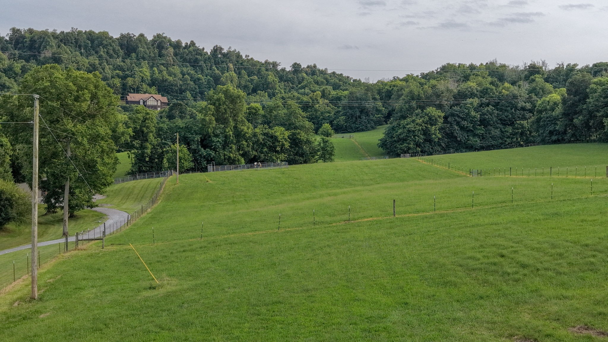 391 Bluestocking Hollow Rd