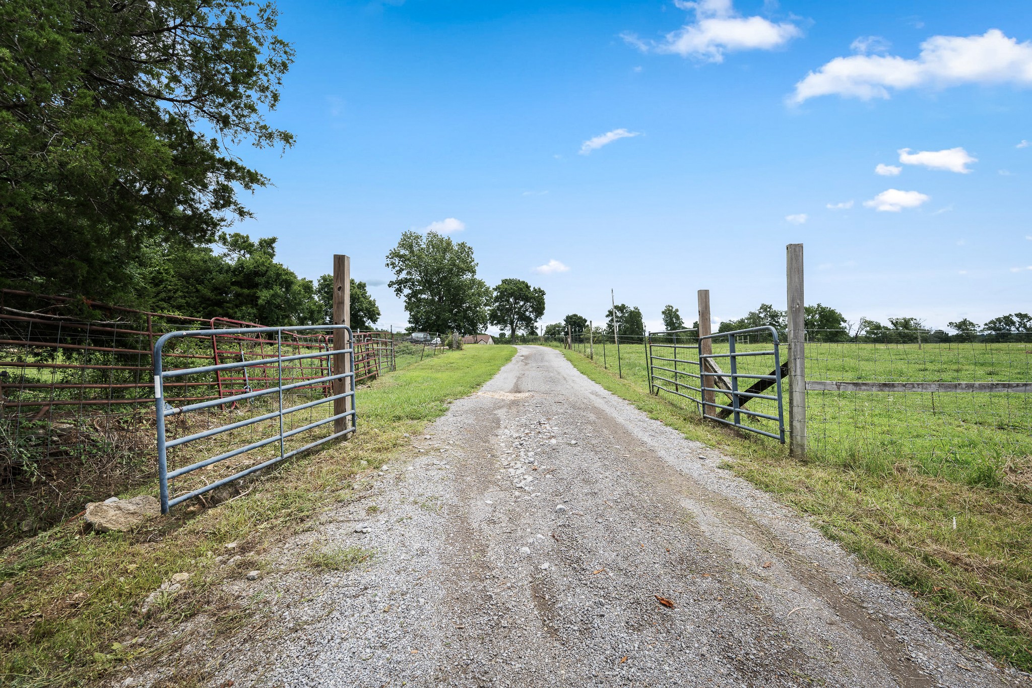 209 Adams Ln