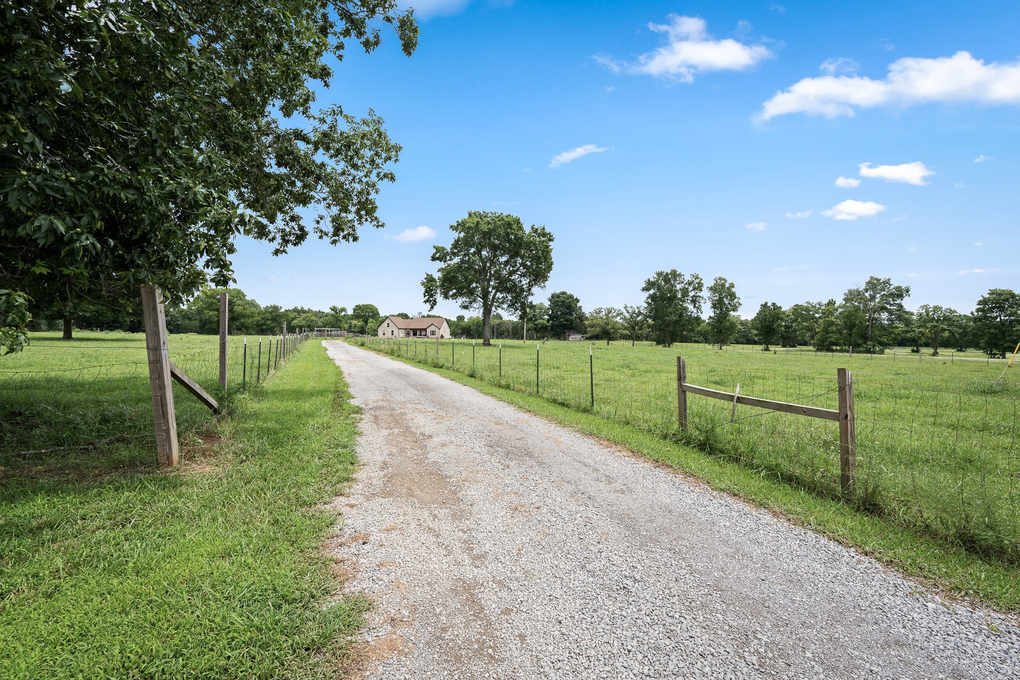 209 Adams Ln