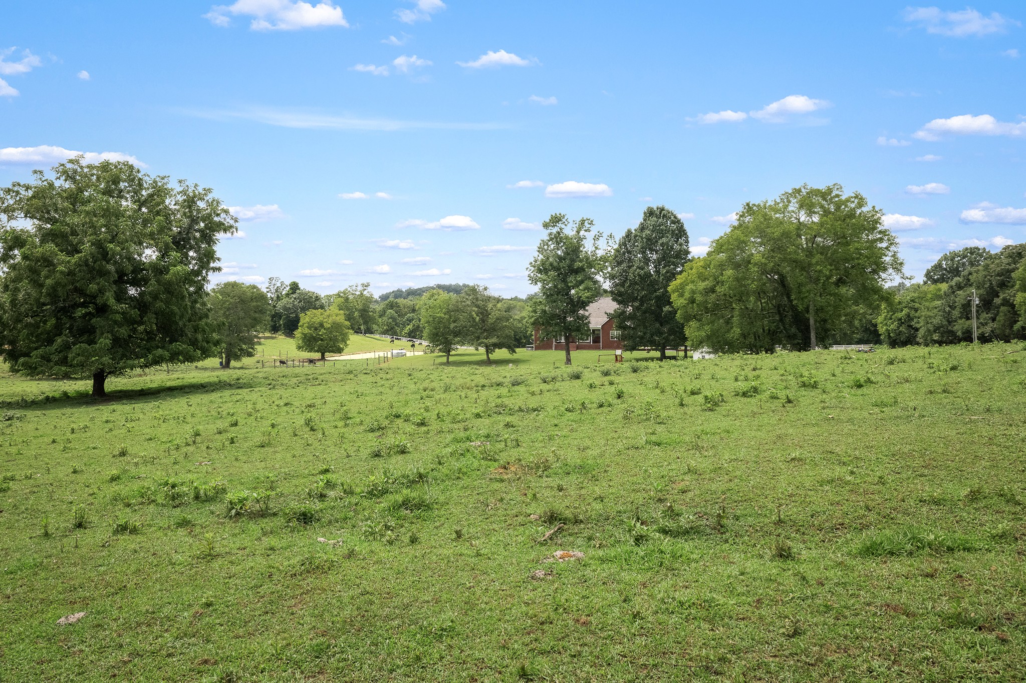 206 Hickerson Rd